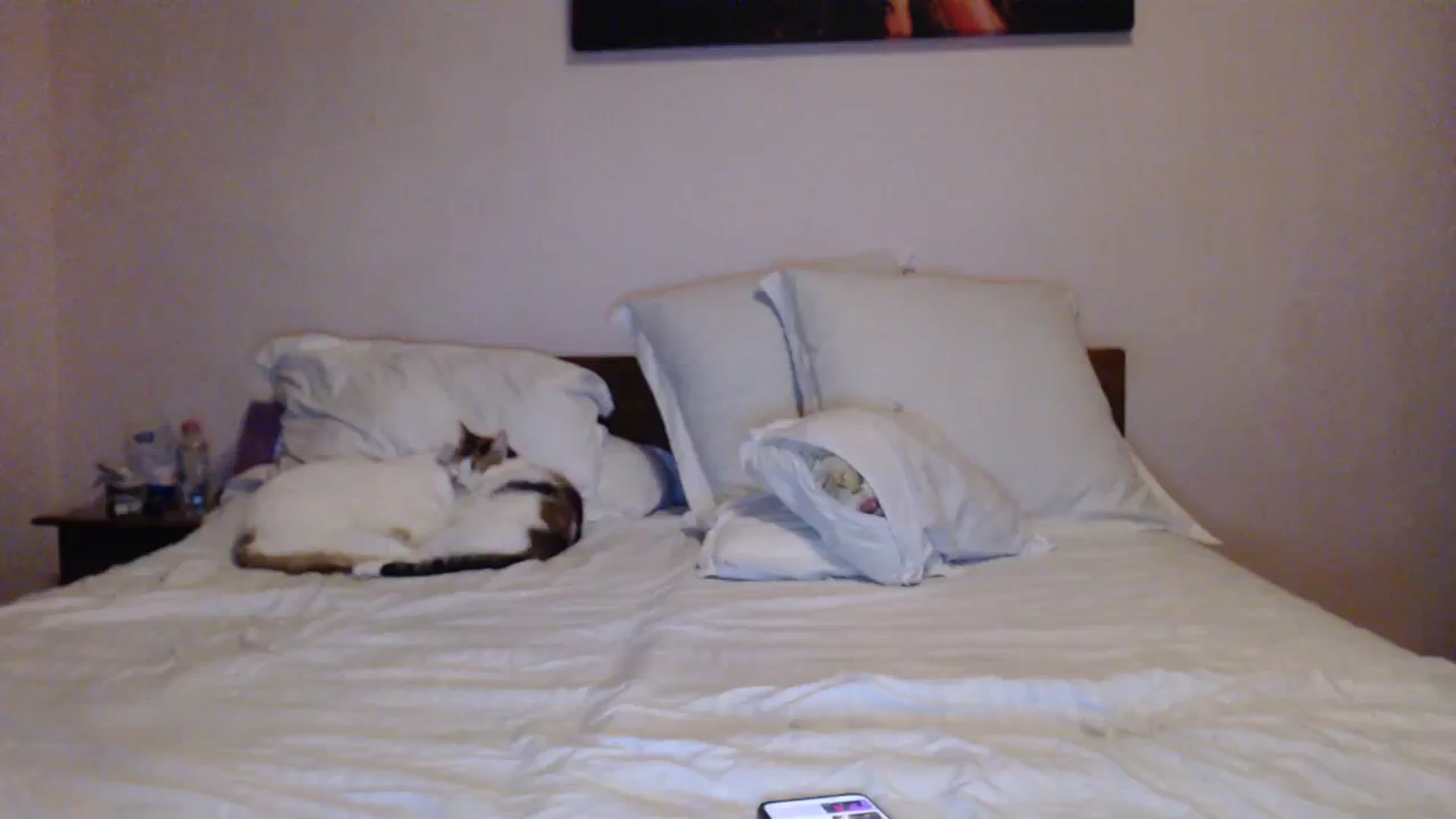 Gallery image thumbnail from Aahh_Emilia's myfreecams stream on, 01/29/2024, 18:30 image 12 of 20