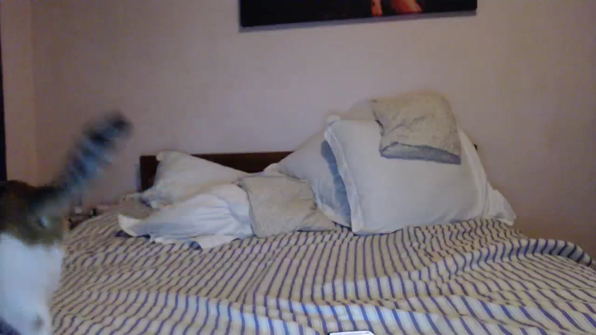 Gallery image thumbnail from Aahh_Emilia's myfreecams stream on, 02/03/2024, 19:05 image 7 of 20