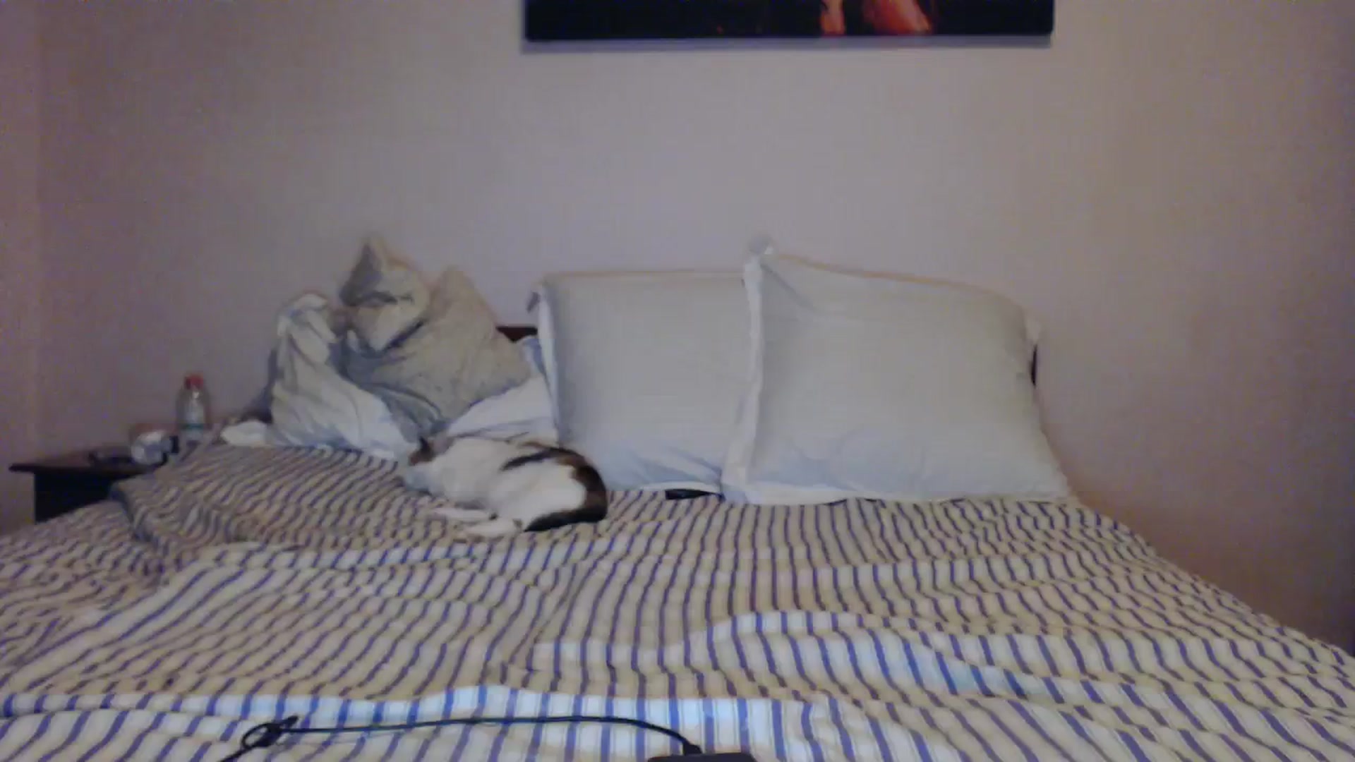 Gallery image thumbnail from Aahh_Emilia's myfreecams stream on, 02/04/2024, 16:05 image 16 of 20