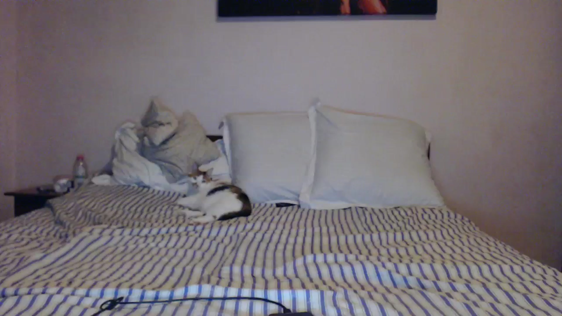 Gallery image thumbnail from Aahh_Emilia's myfreecams stream on, 02/04/2024, 16:05 image 17 of 20