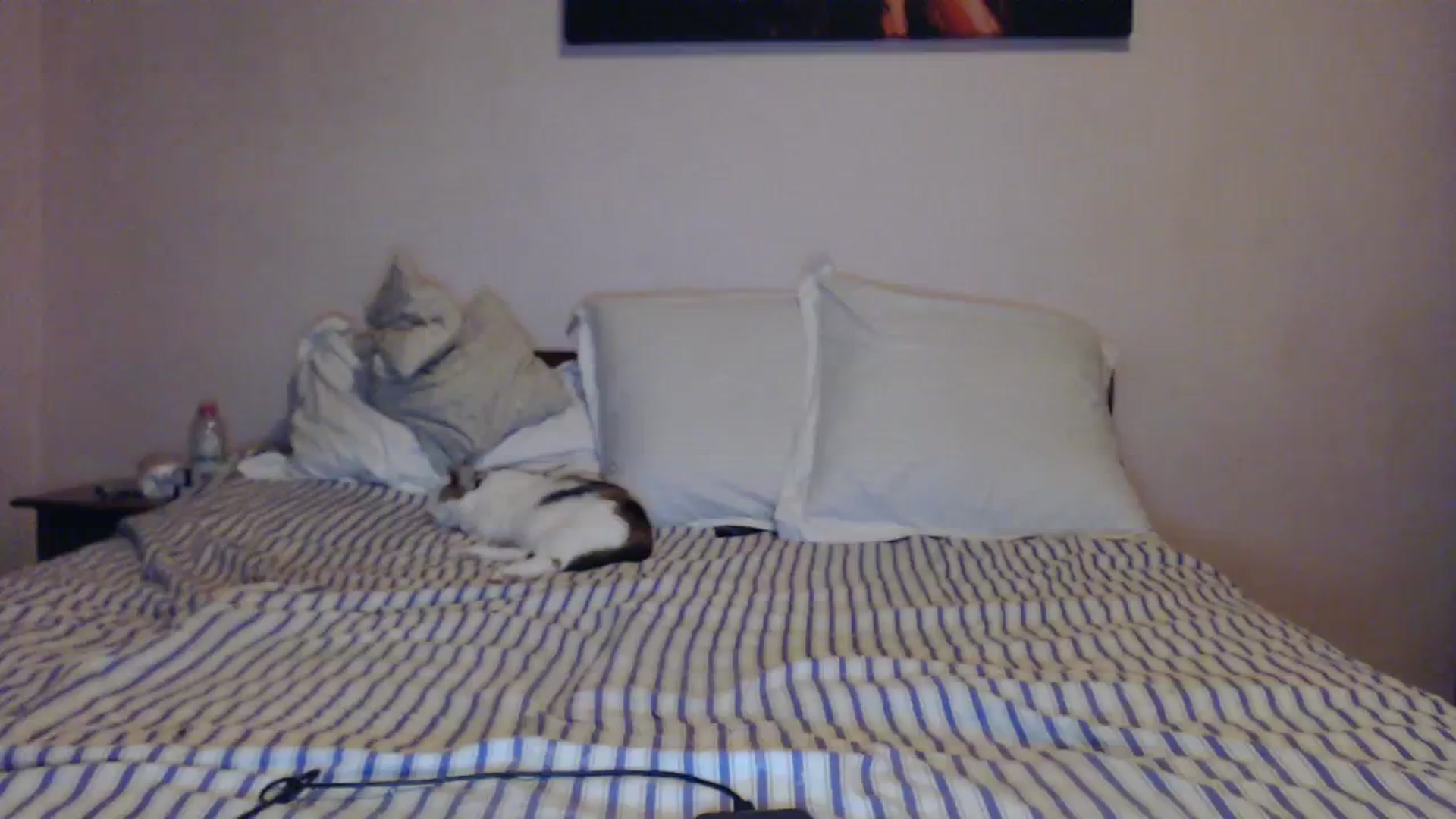 Gallery image thumbnail from Aahh_Emilia's myfreecams stream on, 02/04/2024, 16:05 image 15 of 20