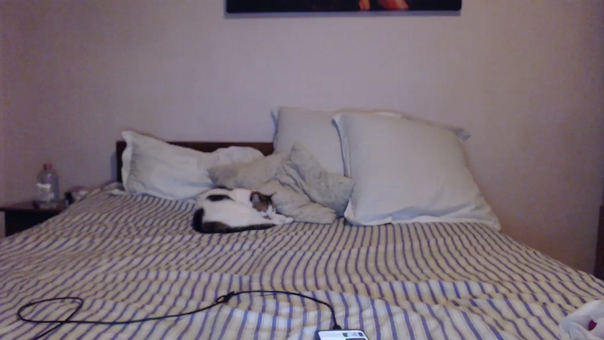 Gallery image thumbnail from Aahh_Emilia's myfreecams stream on, 02/05/2024, 16:17 image 18 of 20