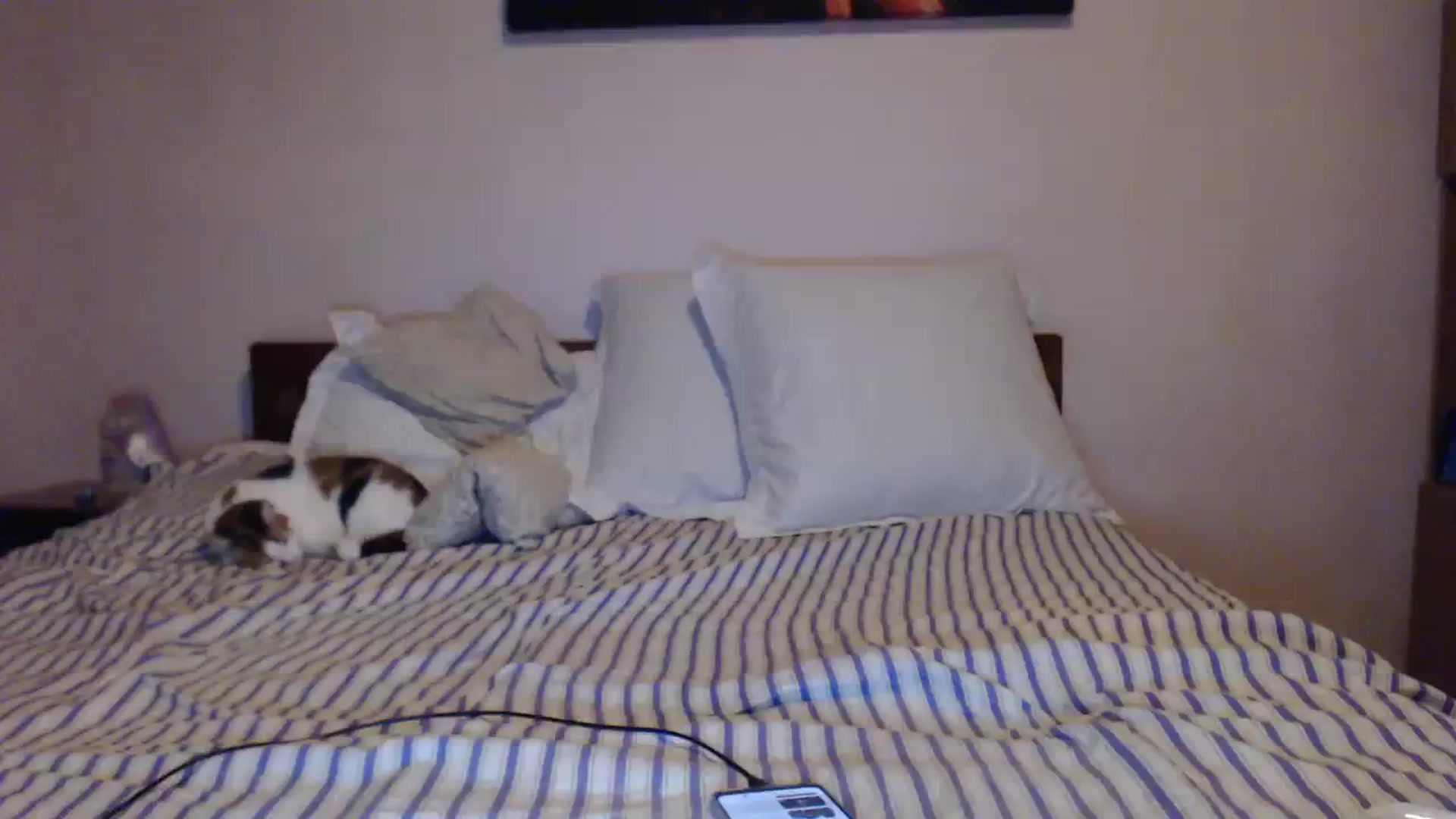Gallery image thumbnail from Aahh_Emilia's myfreecams stream on, 02/06/2024, 16:05 image 14 of 20
