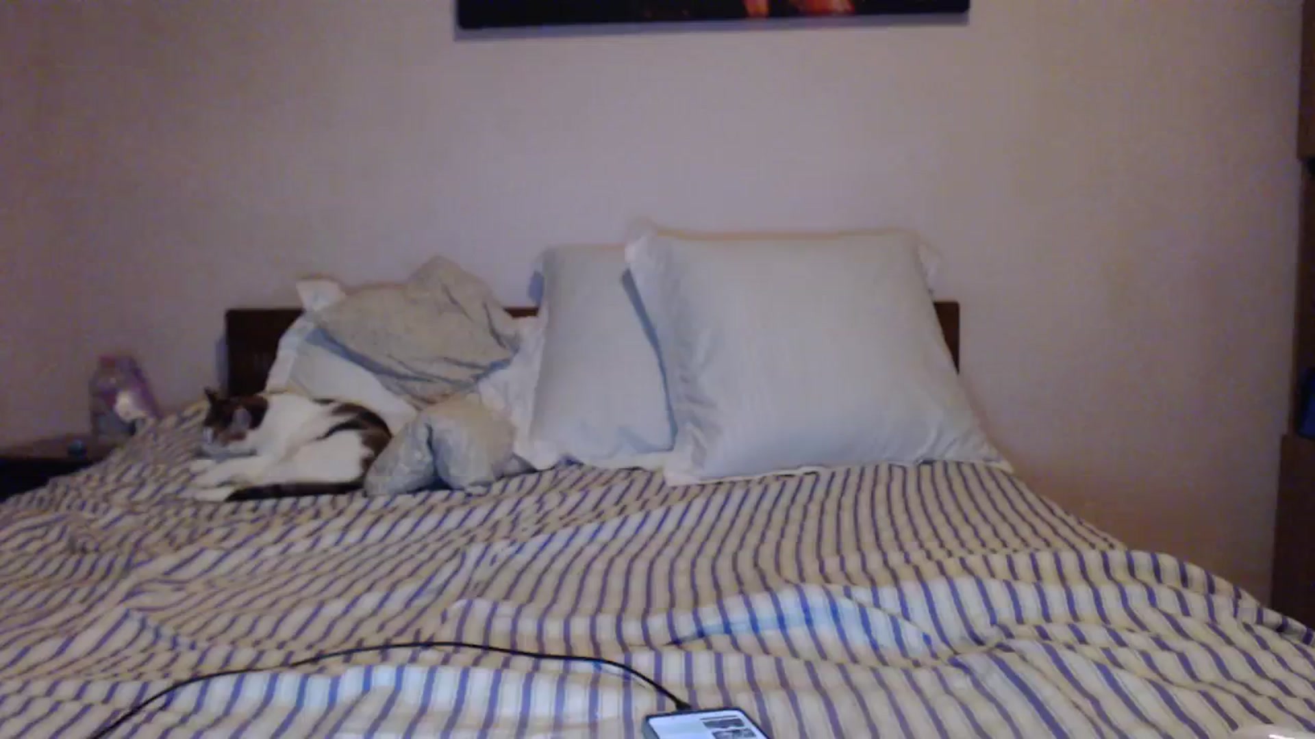 Gallery image thumbnail from Aahh_Emilia's myfreecams stream on, 02/06/2024, 16:05 image 13 of 20