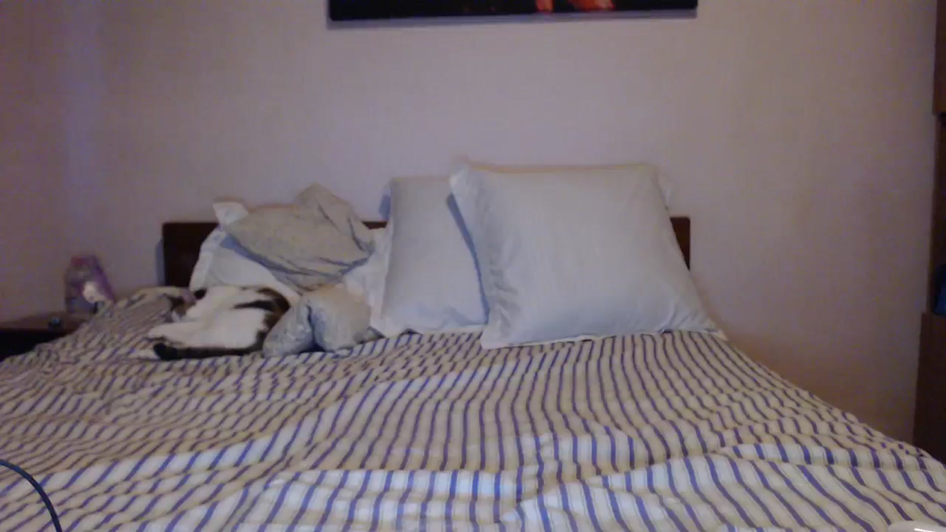 Gallery image thumbnail from Aahh_Emilia's myfreecams stream on, 02/06/2024, 16:05 image 4 of 20