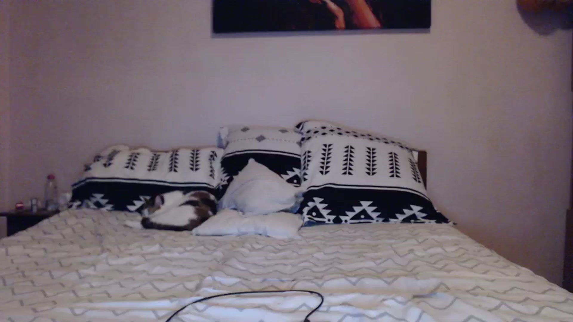 Gallery image thumbnail from Aahh_Emilia's myfreecams stream on, 02/24/2024, 17:08 image 11 of 20