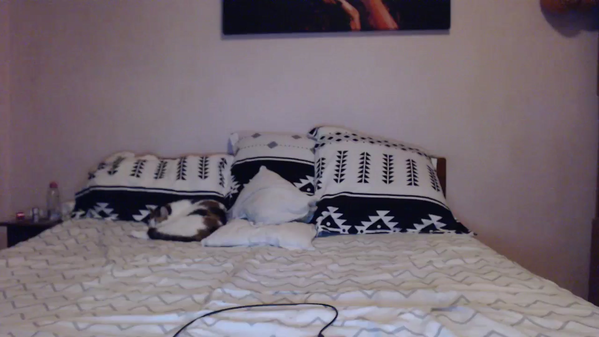 Gallery image thumbnail from Aahh_Emilia's myfreecams stream on, 02/24/2024, 17:08 image 12 of 20