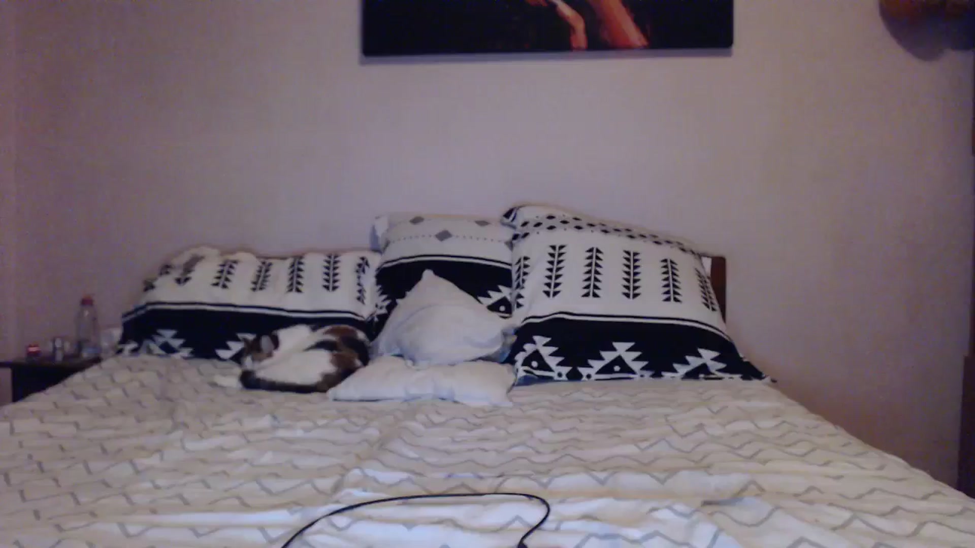Gallery image thumbnail from Aahh_Emilia's myfreecams stream on, 02/24/2024, 17:08 image 13 of 20