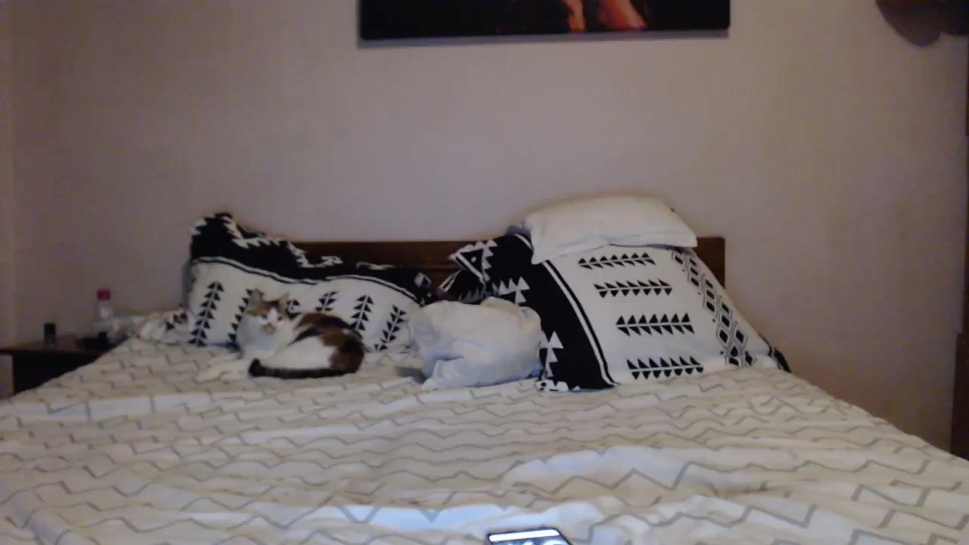 Gallery image thumbnail from Aahh_Emilia's myfreecams stream on, 02/27/2024, 18:30 image 3 of 20