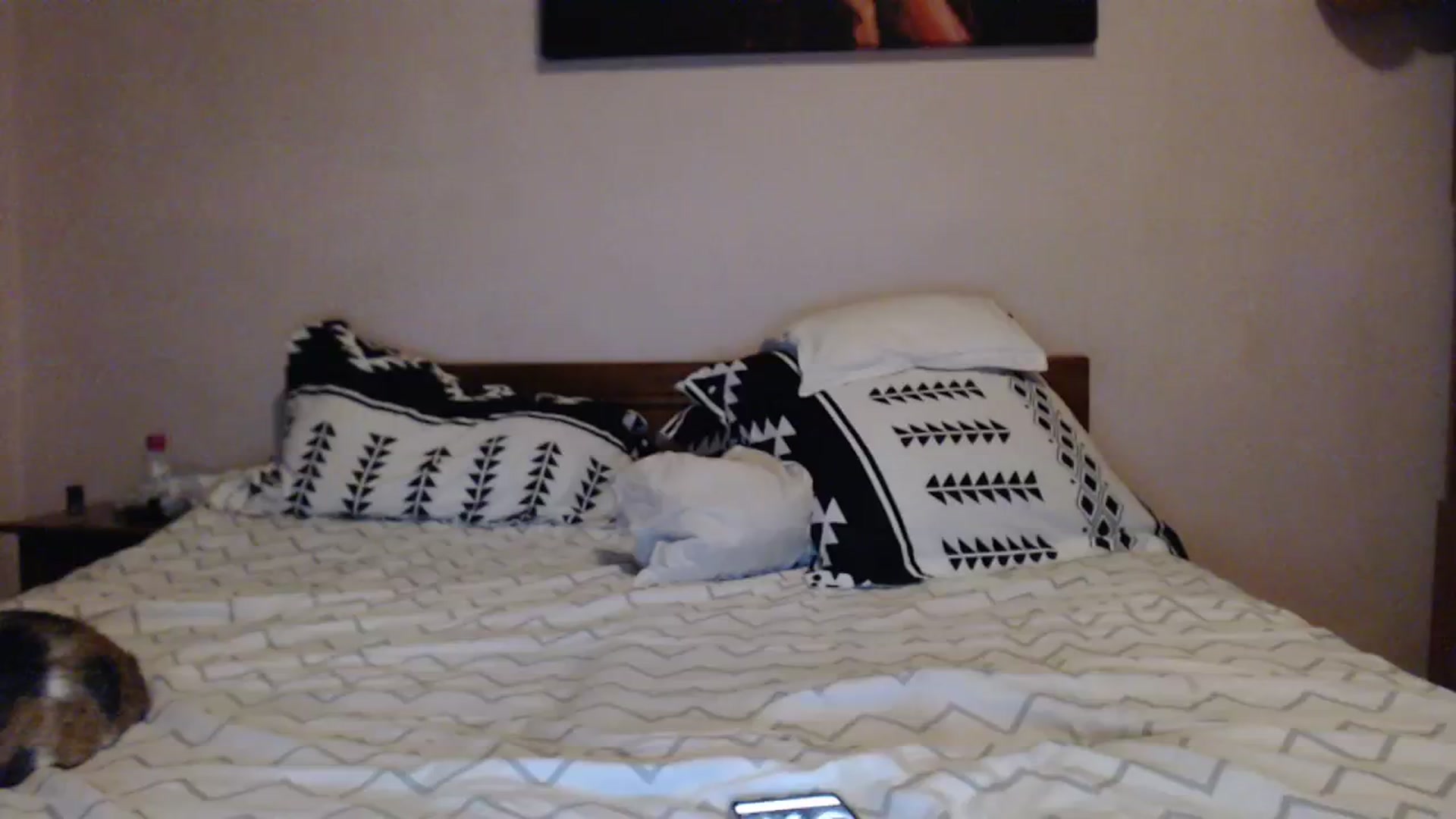Gallery image thumbnail from Aahh_Emilia's myfreecams stream on, 02/27/2024, 18:30 image 8 of 20