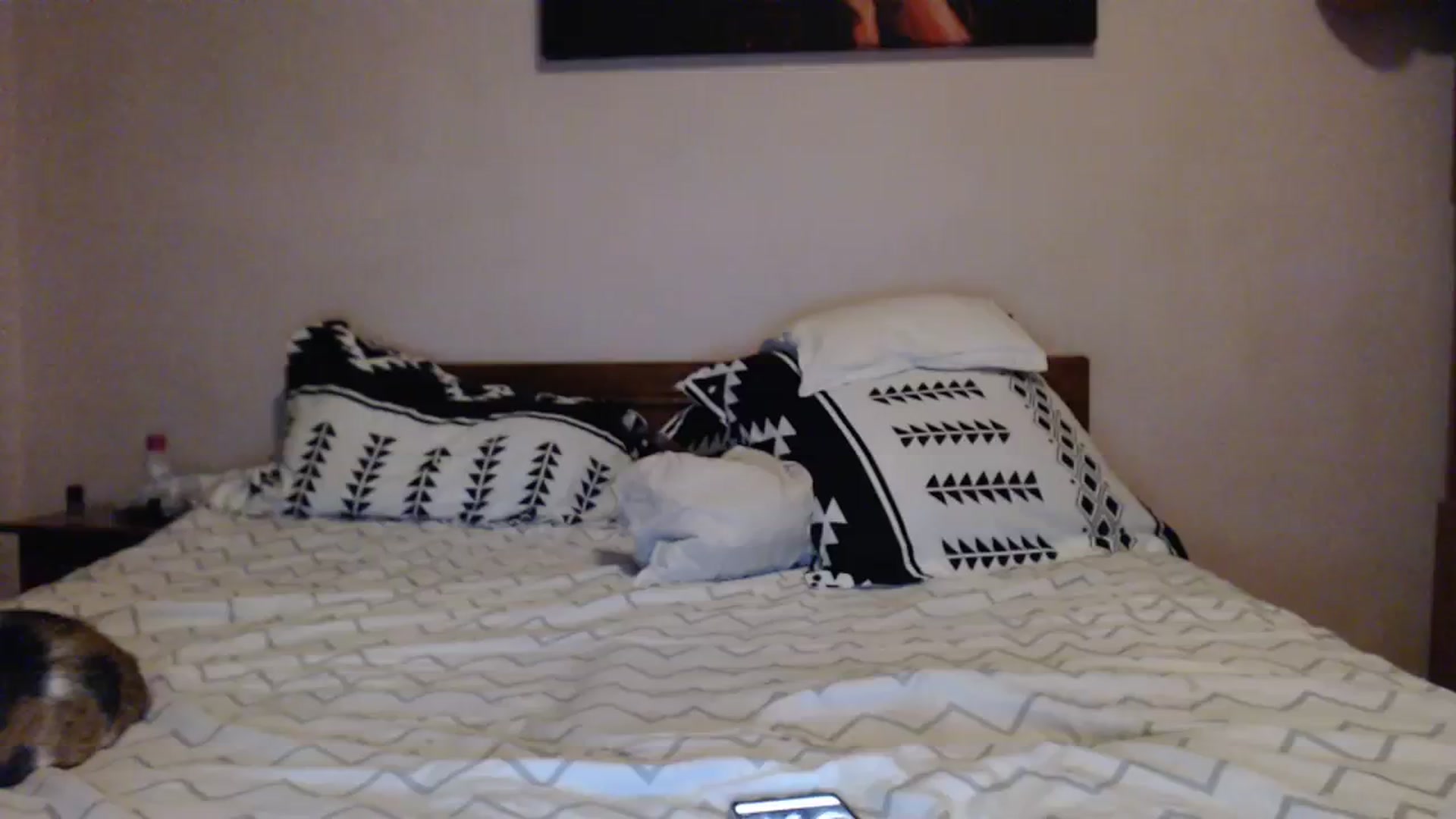 Gallery image thumbnail from Aahh_Emilia's myfreecams stream on, 02/27/2024, 18:30 image 6 of 20