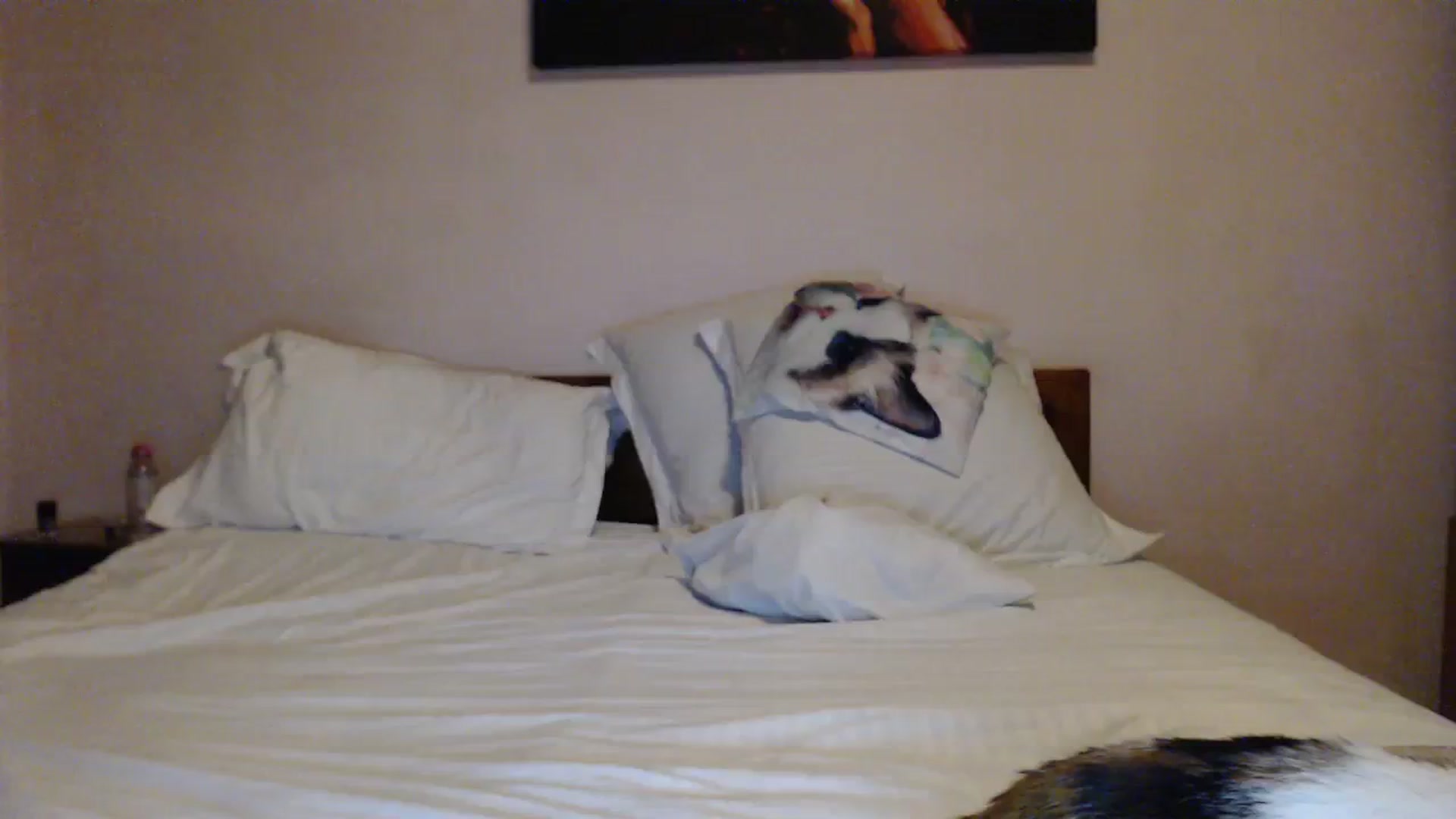 Gallery image thumbnail from Aahh_Emilia's myfreecams stream on, 02/28/2024, 19:22 image 17 of 20