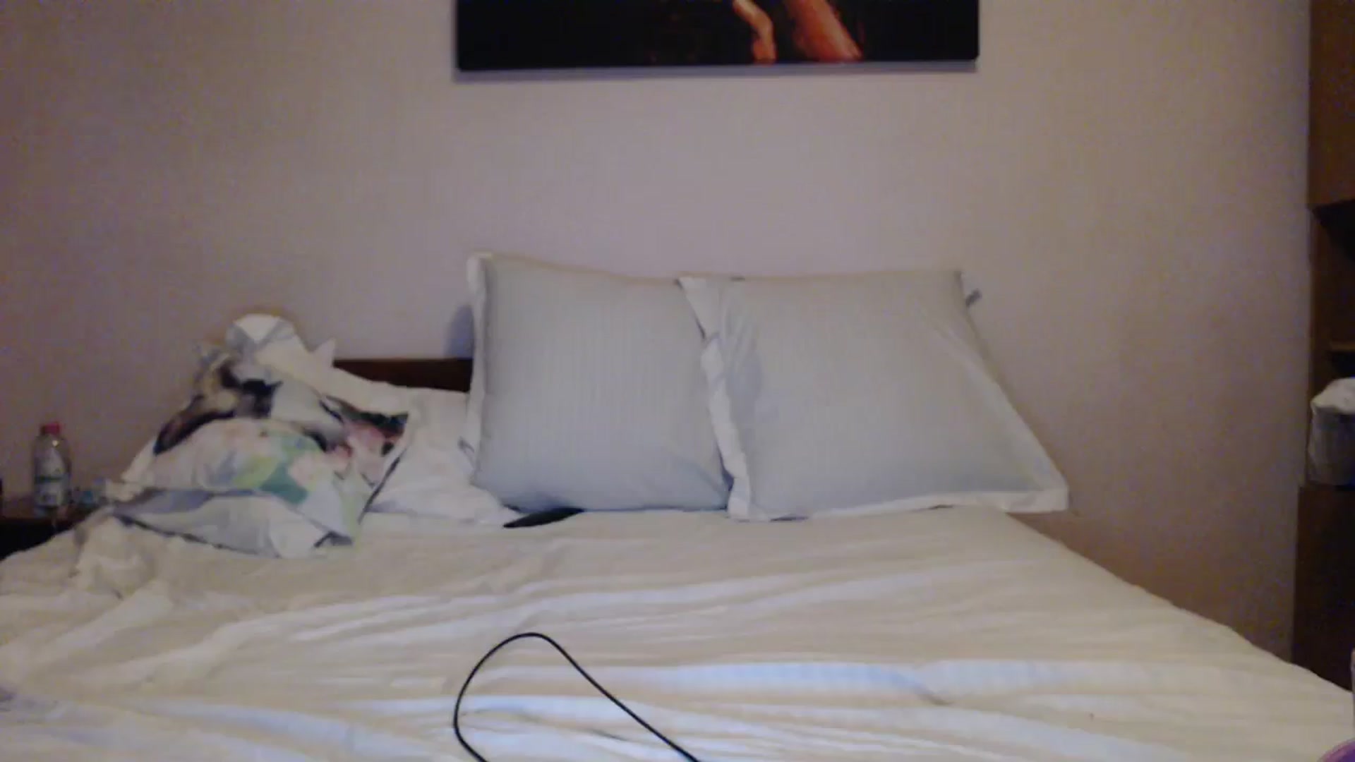 Gallery image thumbnail from Aahh_Emilia's myfreecams stream on, 02/29/2024, 16:47 image 4 of 20