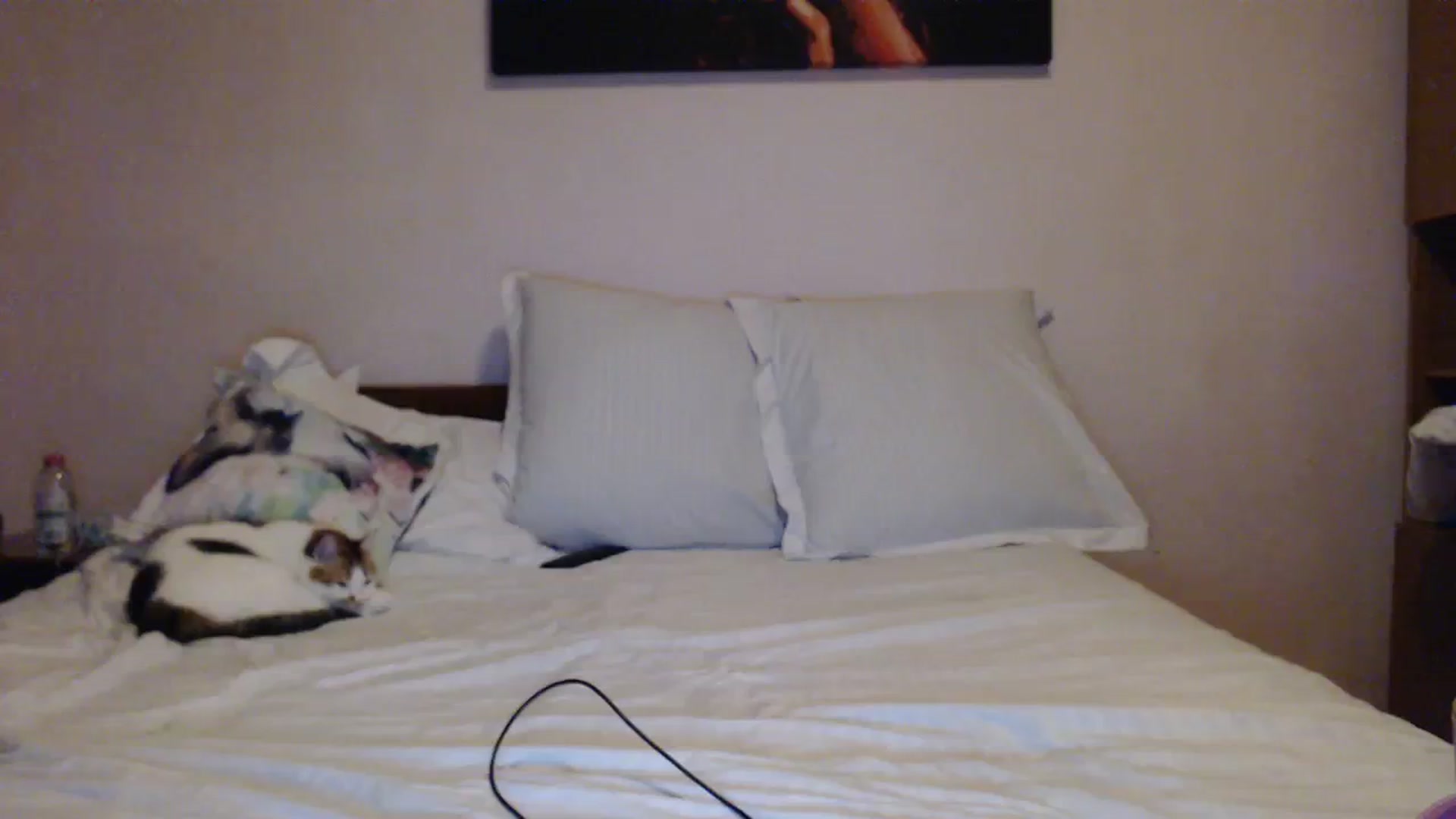 Gallery image thumbnail from Aahh_Emilia's myfreecams stream on, 02/29/2024, 16:47 image 6 of 20