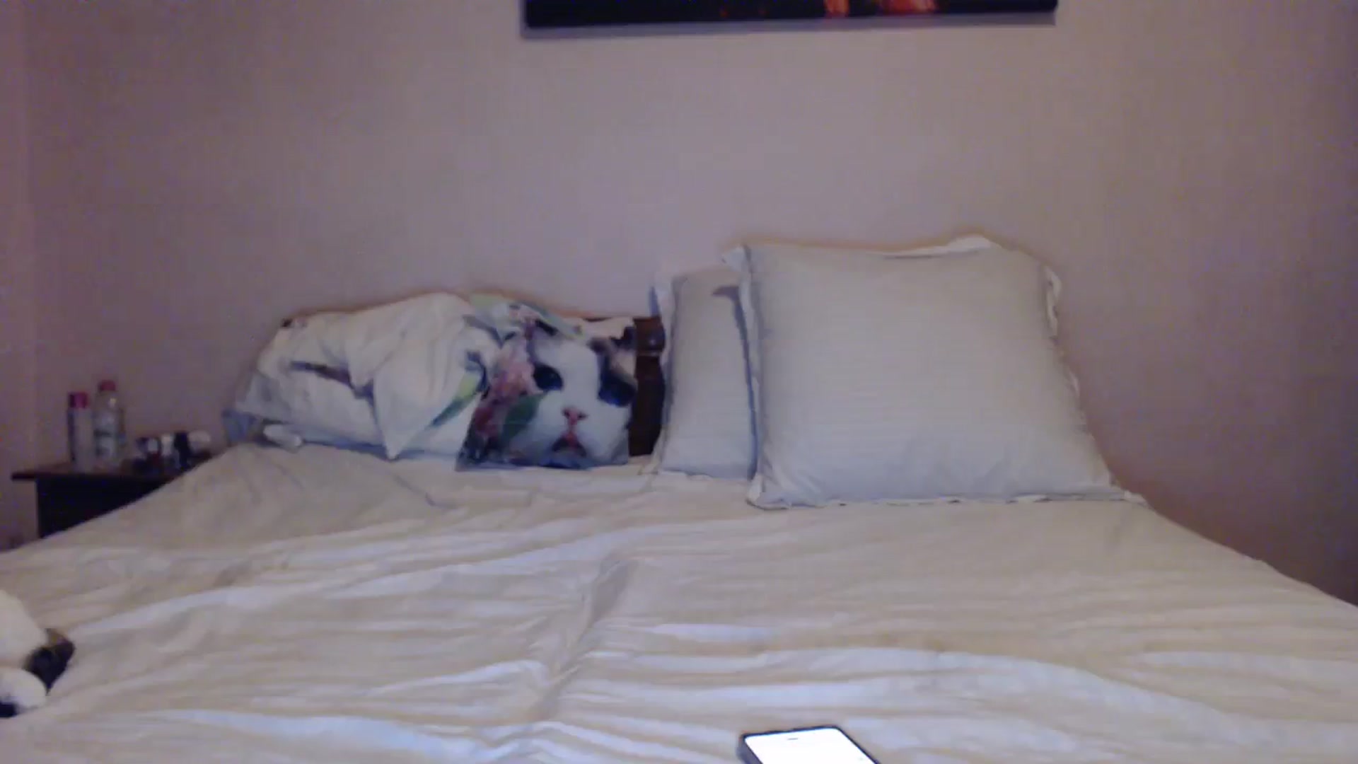 Gallery image thumbnail from Aahh_Emilia's myfreecams stream on, 03/04/2024, 16:42 image 16 of 20
