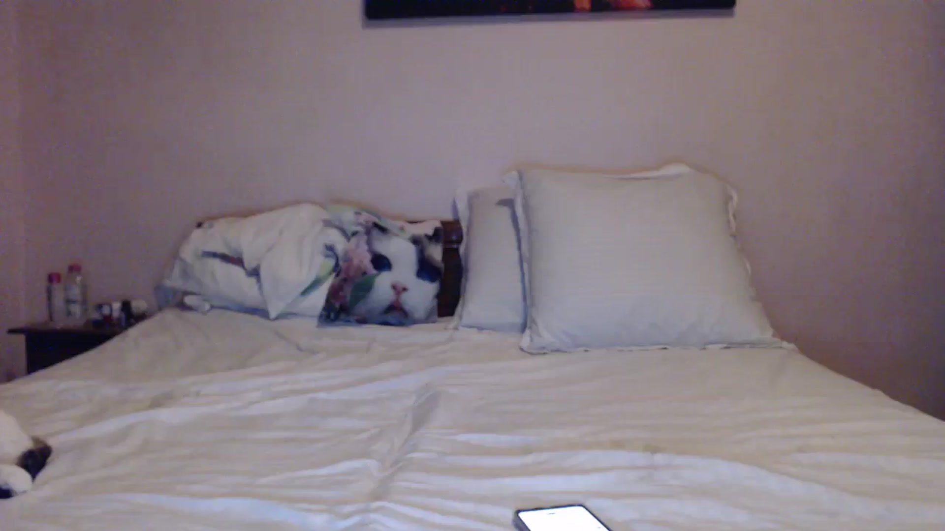 Gallery image thumbnail from Aahh_Emilia's myfreecams stream on, 03/04/2024, 16:42 image 15 of 20