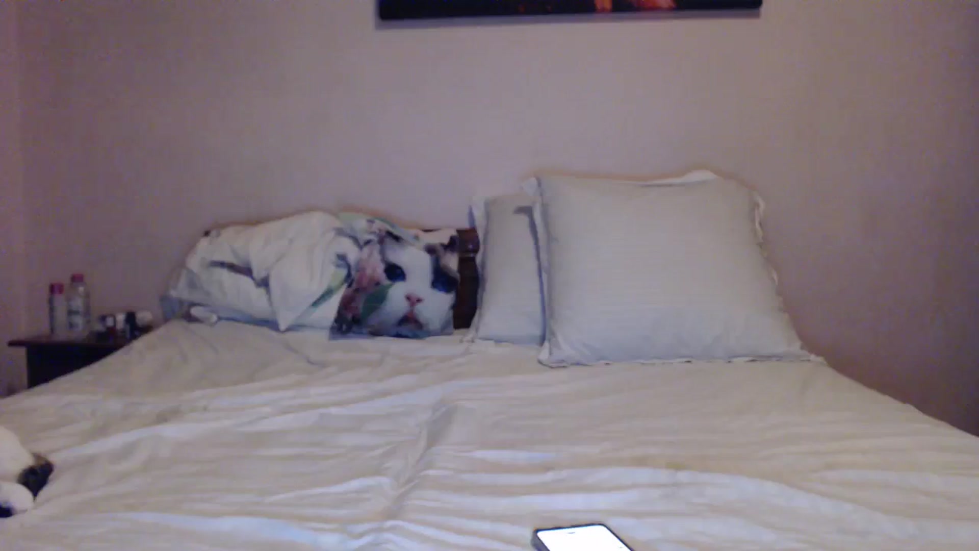 Gallery image thumbnail from Aahh_Emilia's myfreecams stream on, 03/04/2024, 16:42 image 13 of 20