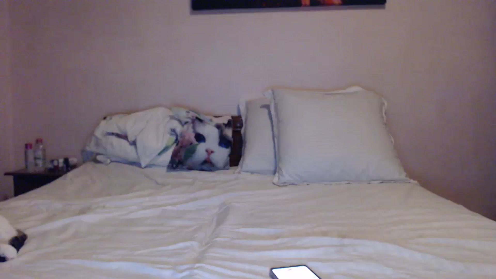 Gallery image thumbnail from Aahh_Emilia's myfreecams stream on, 03/04/2024, 16:42 image 12 of 20