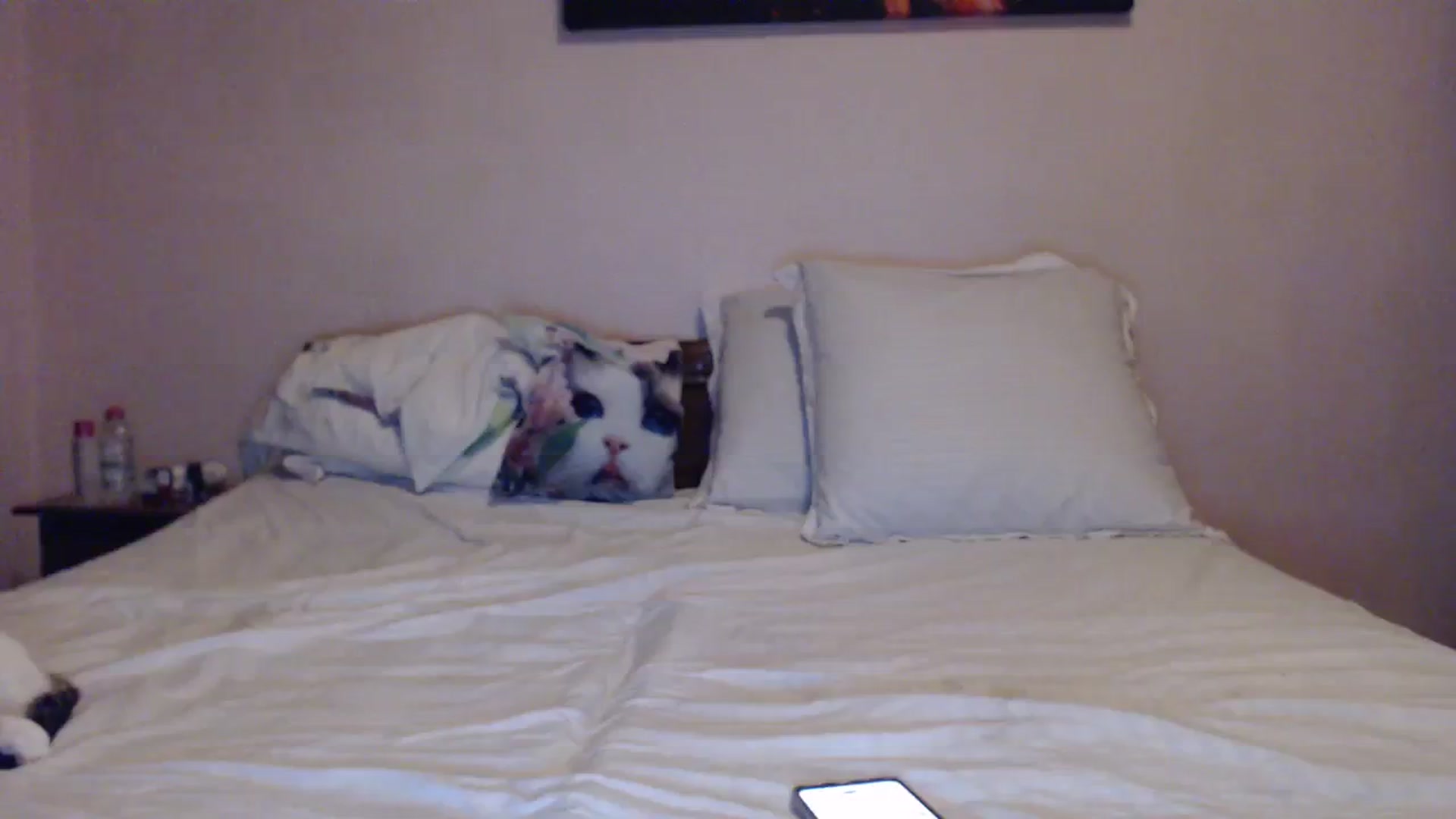 Gallery image thumbnail from Aahh_Emilia's myfreecams stream on, 03/04/2024, 16:42 image 14 of 20