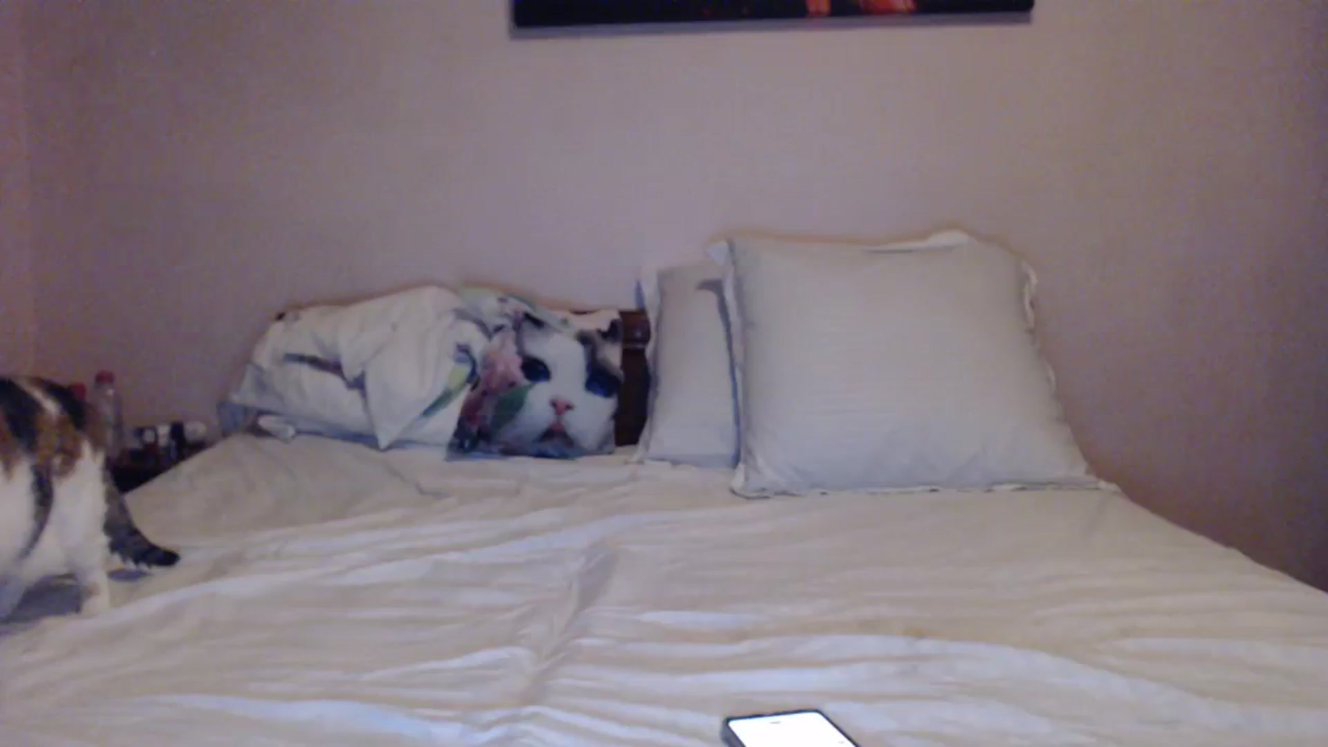 Gallery image thumbnail from Aahh_Emilia's myfreecams stream on, 03/04/2024, 16:42 image 10 of 20