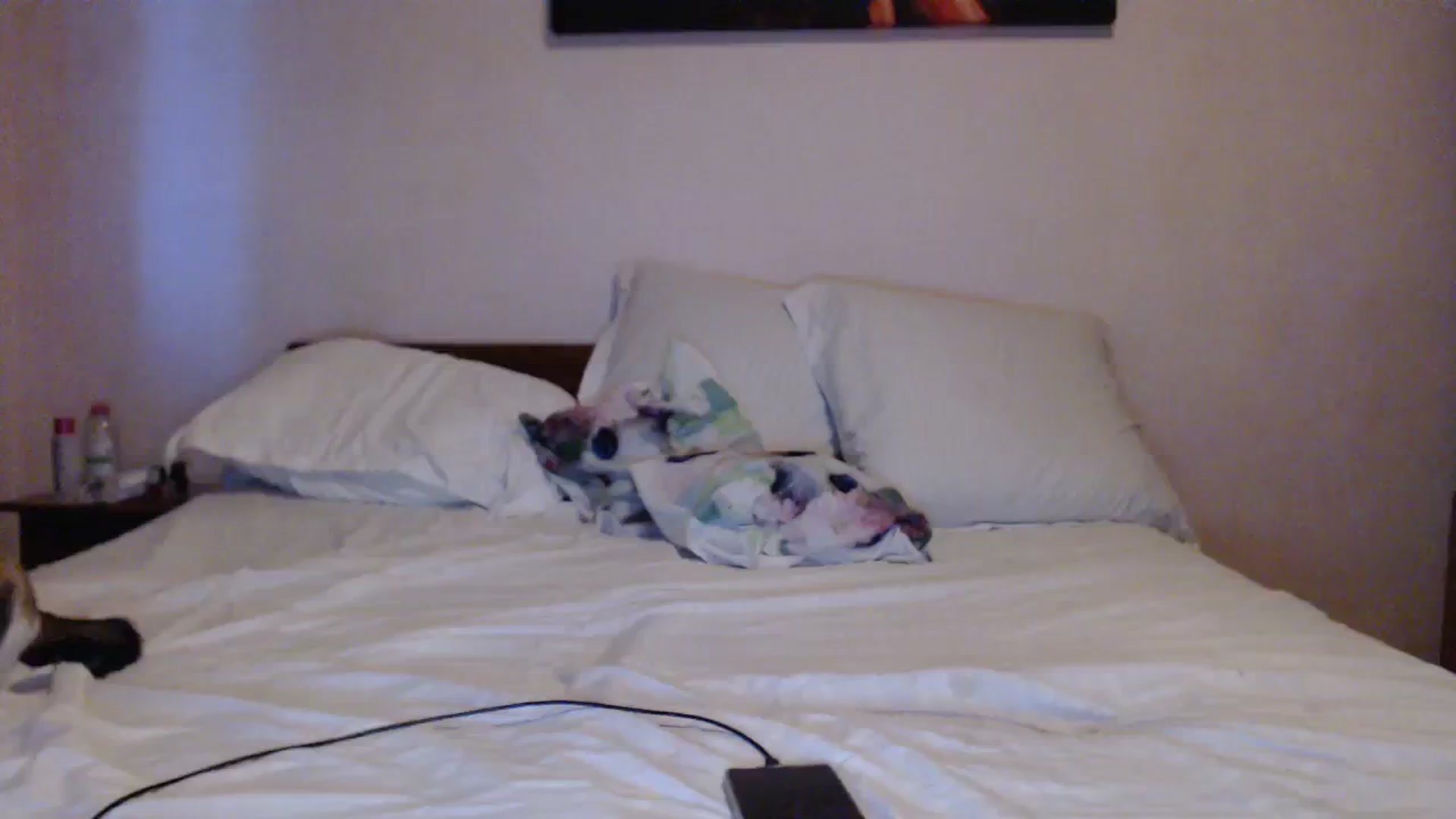 Gallery image thumbnail from Aahh_Emilia's myfreecams stream on, 03/05/2024, 16:08 image 16 of 20