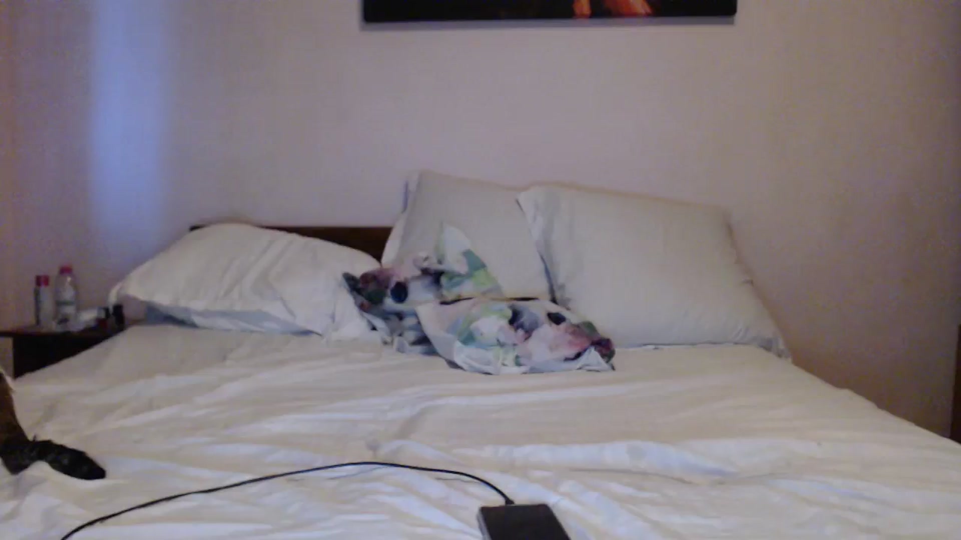 Gallery image thumbnail from Aahh_Emilia's myfreecams stream on, 03/05/2024, 16:08 image 15 of 20