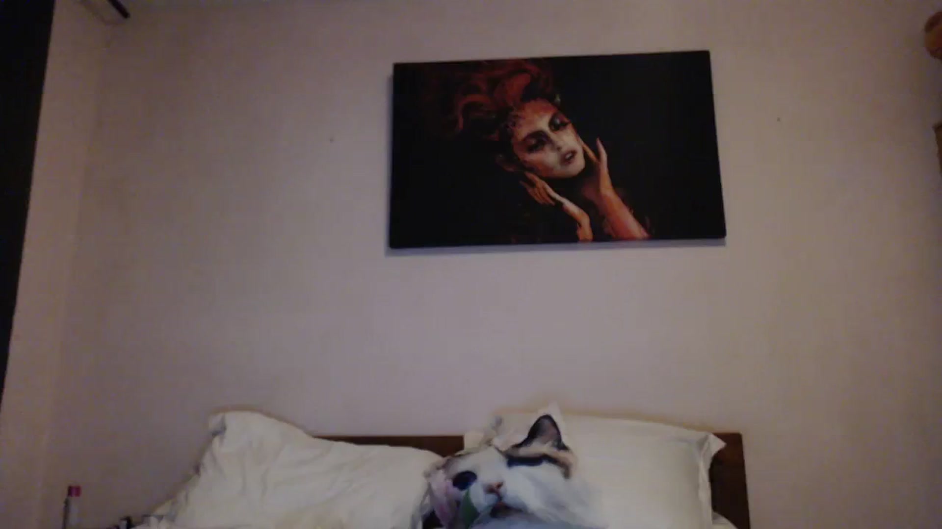 Gallery image thumbnail from Aahh_Emilia's myfreecams stream on, 03/07/2024, 18:47 image 2 of 20