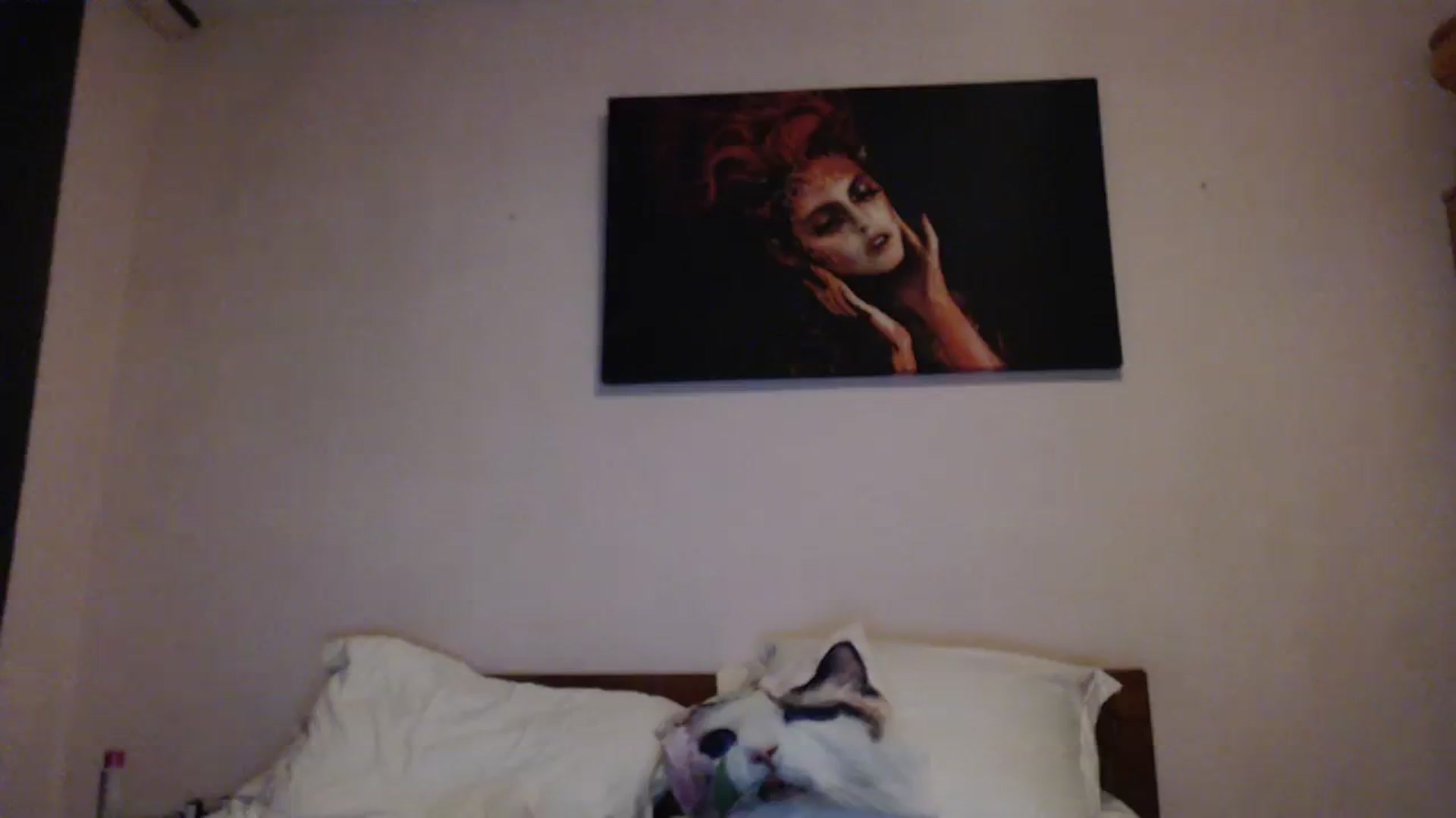 Gallery image thumbnail from Aahh_Emilia's myfreecams stream on, 03/07/2024, 18:47 image 10 of 20