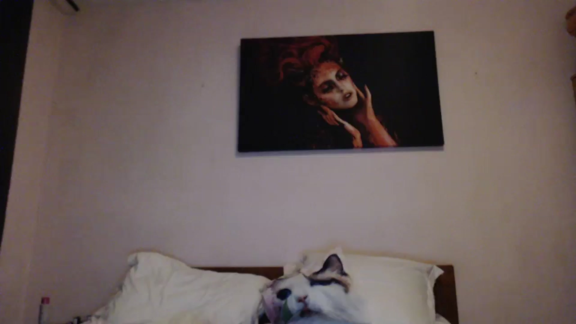 Gallery image thumbnail from Aahh_Emilia's myfreecams stream on, 03/07/2024, 18:47 image 8 of 20