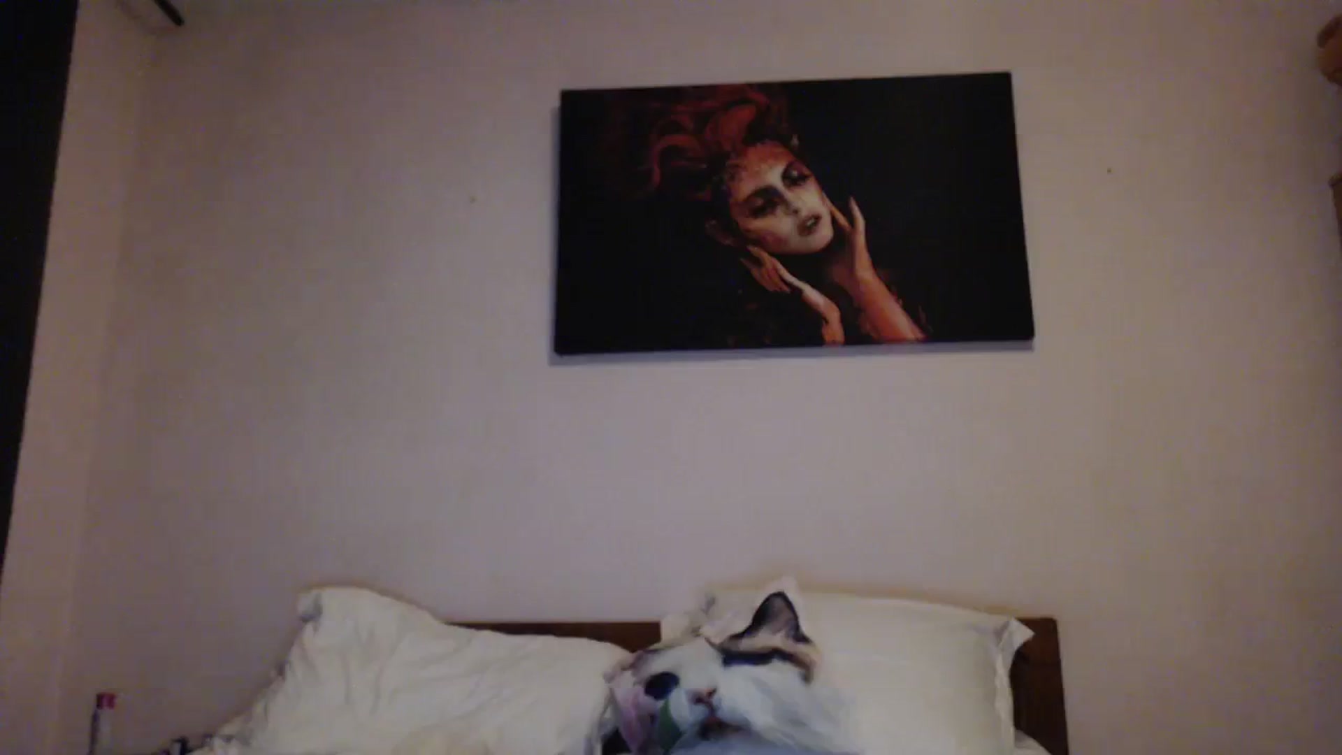 Gallery image thumbnail from Aahh_Emilia's myfreecams stream on, 03/07/2024, 18:47 image 5 of 20