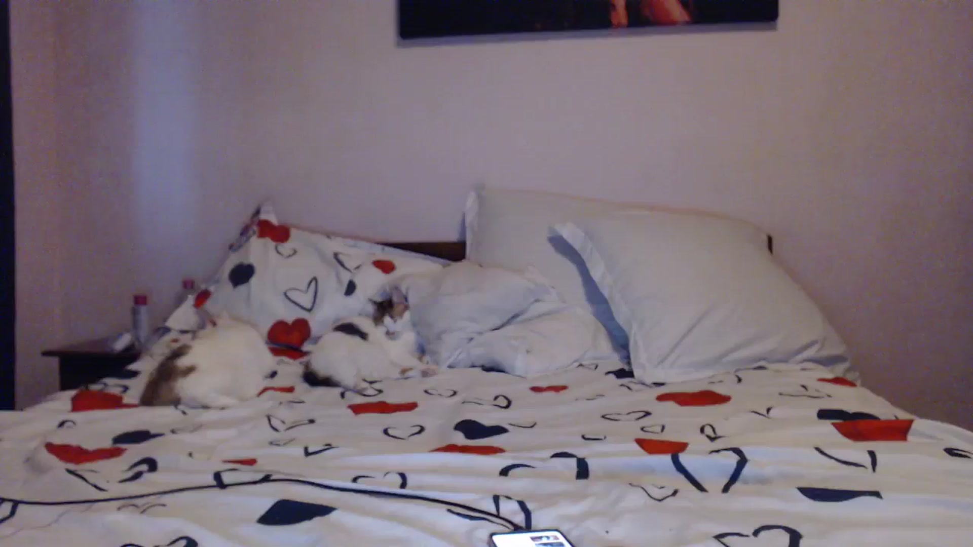 Gallery image thumbnail from Aahh_Emilia's myfreecams stream on, 03/17/2024, 16:33 image 6 of 20
