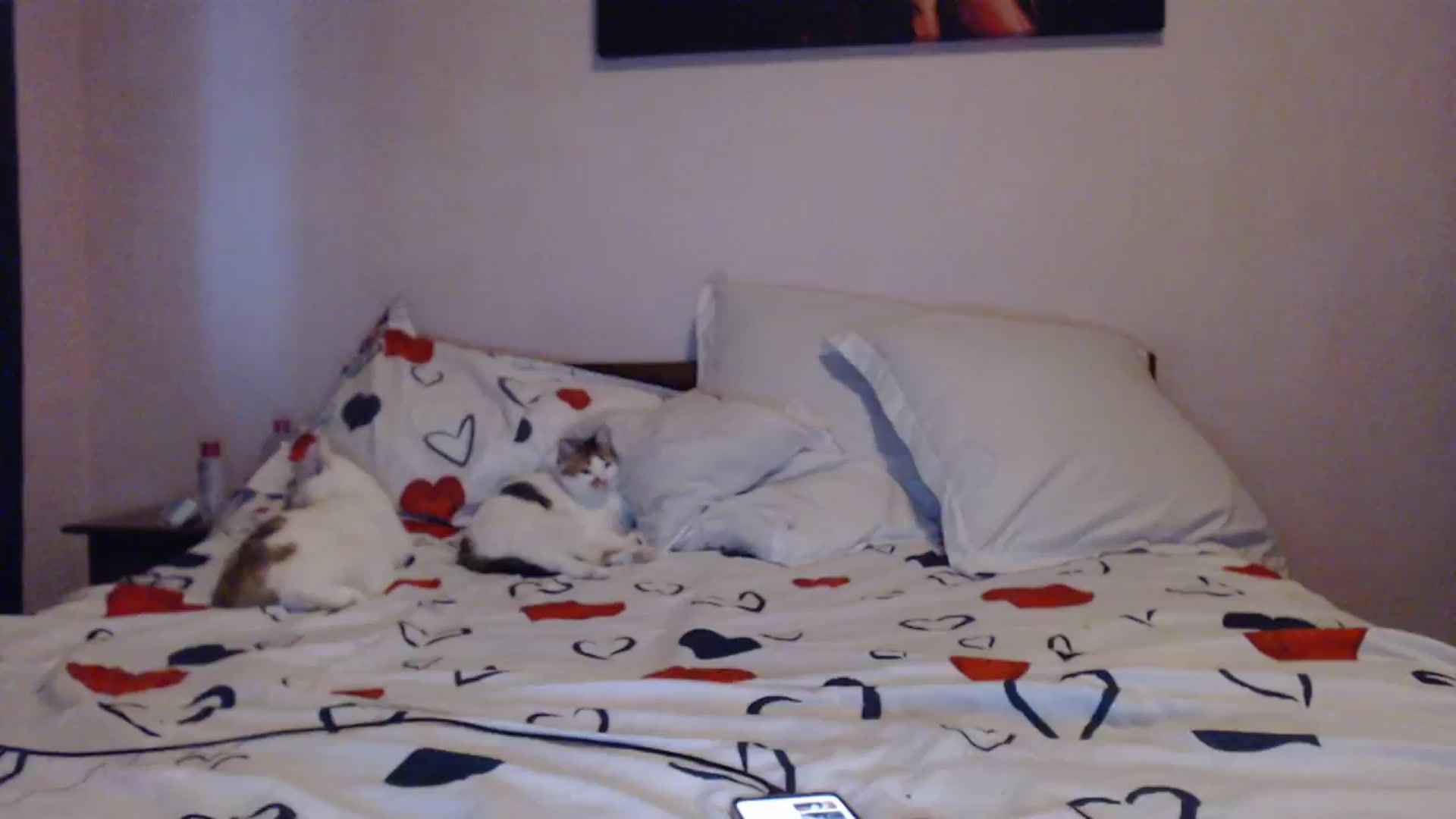 Gallery image thumbnail from Aahh_Emilia's myfreecams stream on, 03/17/2024, 16:33 image 5 of 20