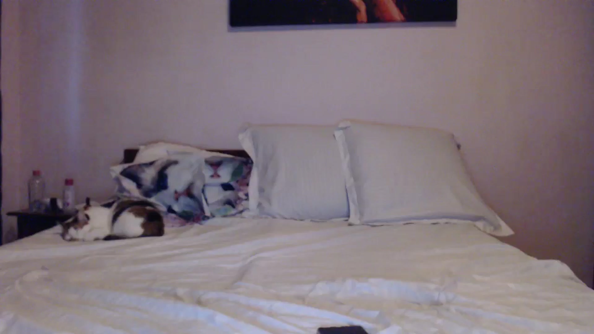 Gallery image thumbnail from Aahh_Emilia's myfreecams stream on, 03/24/2024, 16:01 image 7 of 20