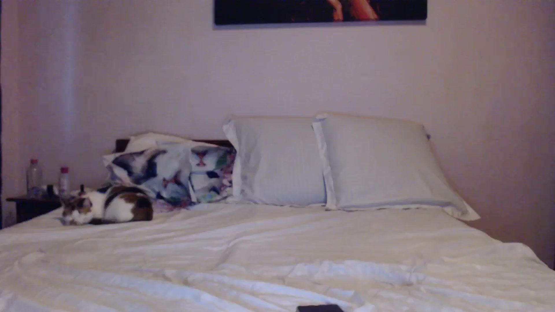 Gallery image thumbnail from Aahh_Emilia's myfreecams stream on, 03/24/2024, 16:01 image 4 of 20
