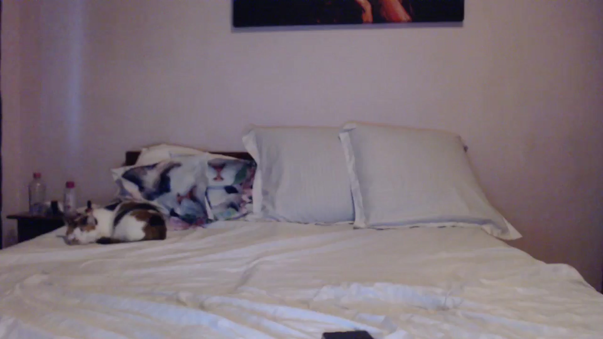 Gallery image thumbnail from Aahh_Emilia's myfreecams stream on, 03/24/2024, 16:01 image 6 of 20