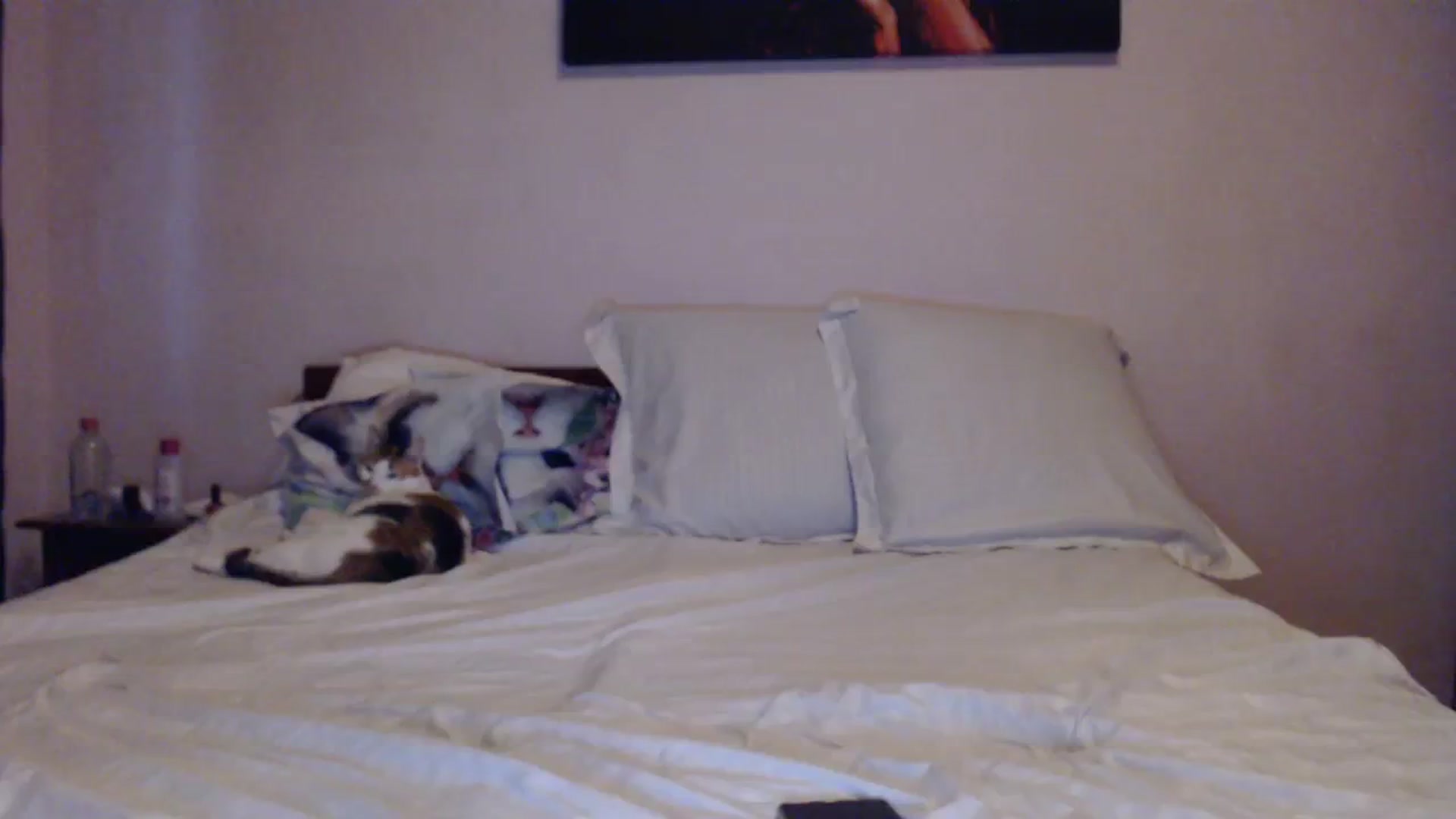 Gallery image thumbnail from Aahh_Emilia's myfreecams stream on, 03/24/2024, 16:01 image 3 of 20