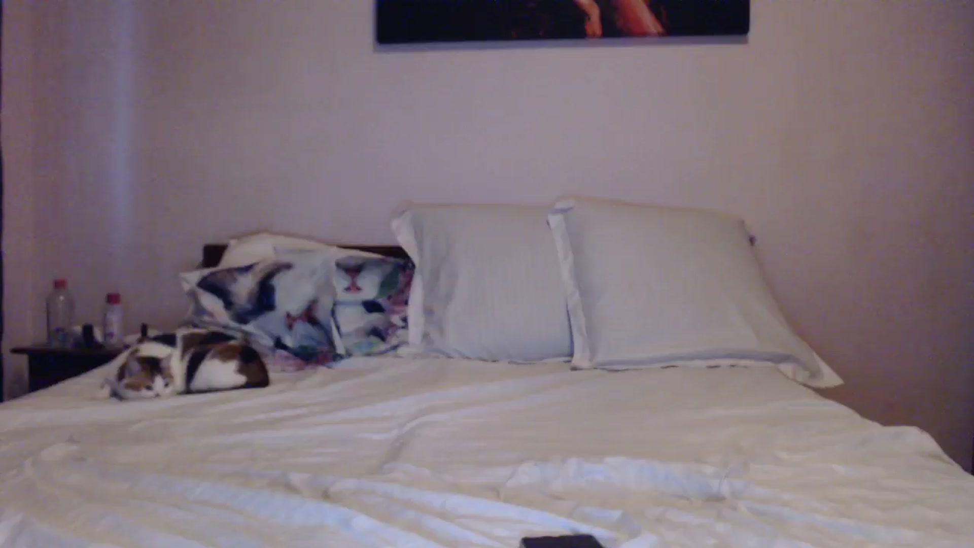 Gallery image thumbnail from Aahh_Emilia's myfreecams stream on, 03/24/2024, 16:01 image 8 of 20