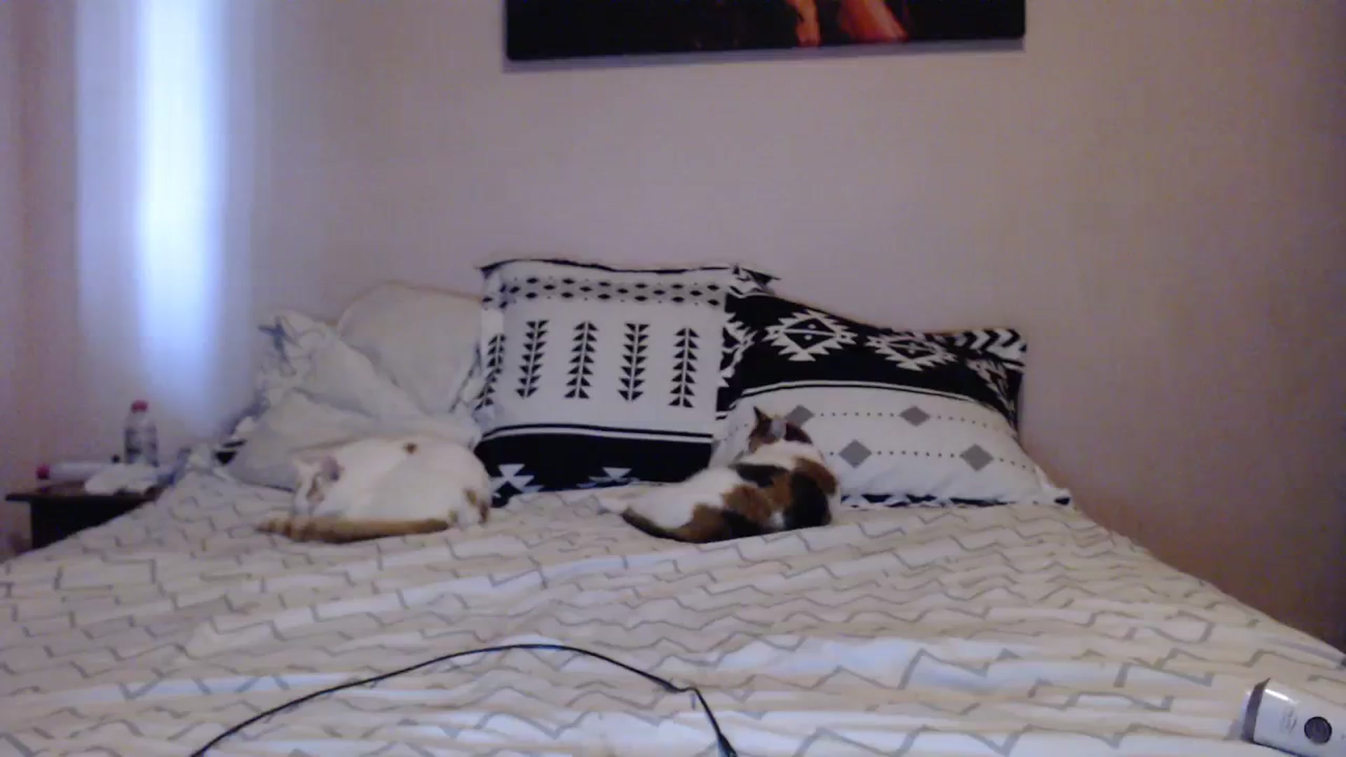 Gallery image thumbnail from Aahh_Emilia's myfreecams stream on, 04/04/2024, 16:00 image 17 of 20