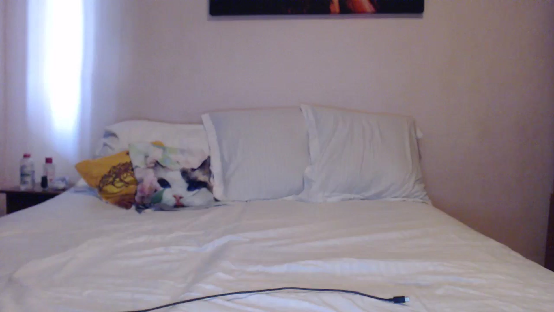 Gallery image thumbnail from Aahh_Emilia's myfreecams stream on, 04/13/2024, 15:23 image 19 of 20