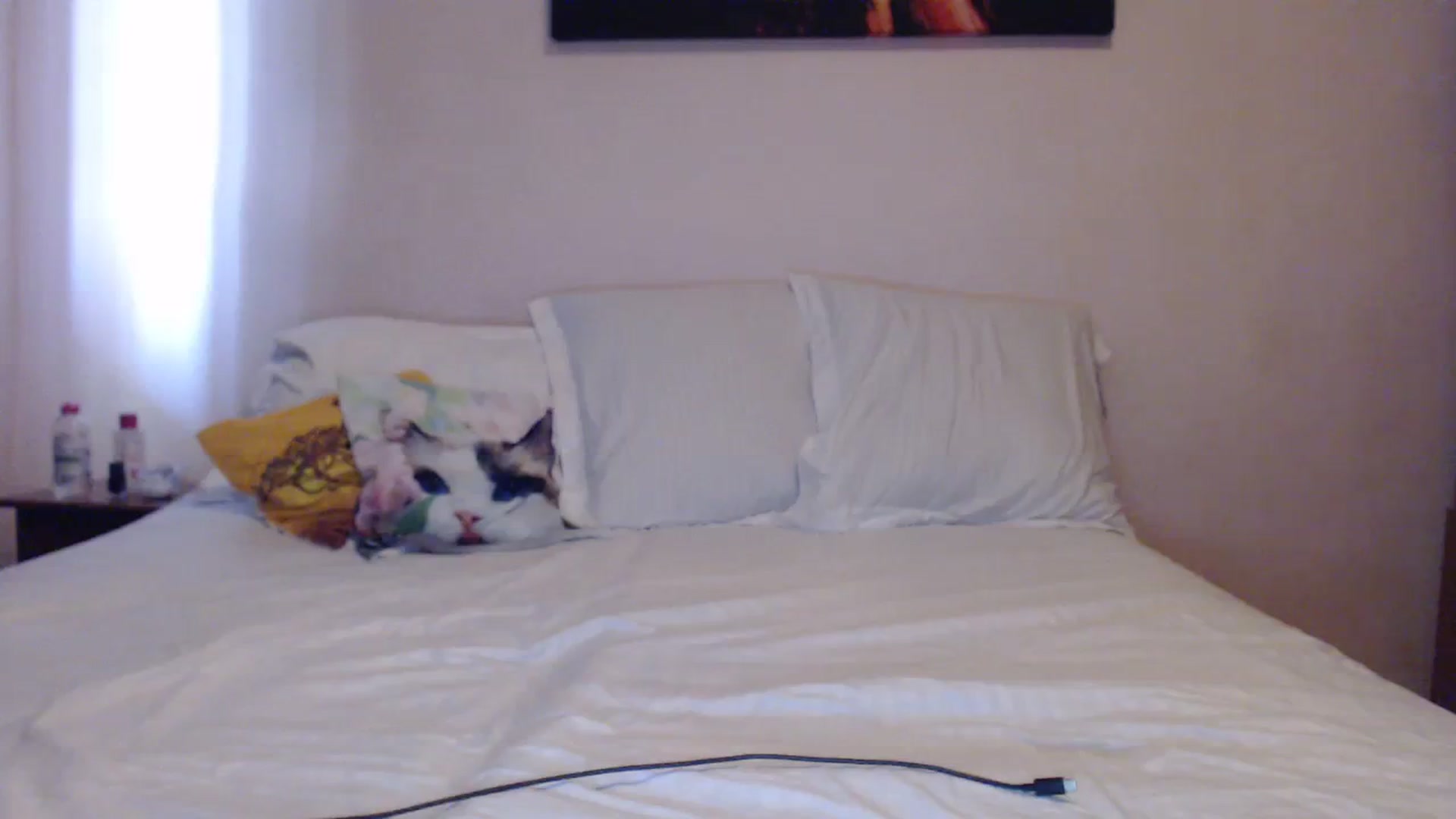 Gallery image thumbnail from Aahh_Emilia's myfreecams stream on, 04/13/2024, 15:23 image 18 of 20
