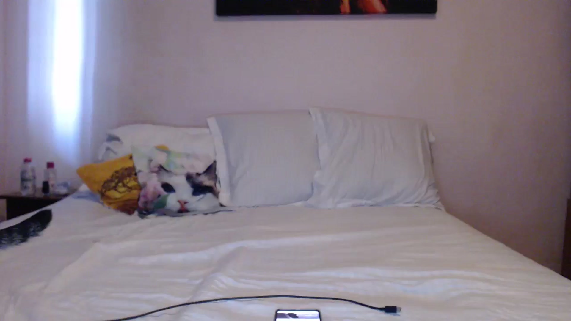 Gallery image thumbnail from Aahh_Emilia's myfreecams stream on, 04/13/2024, 15:23 image 20 of 20