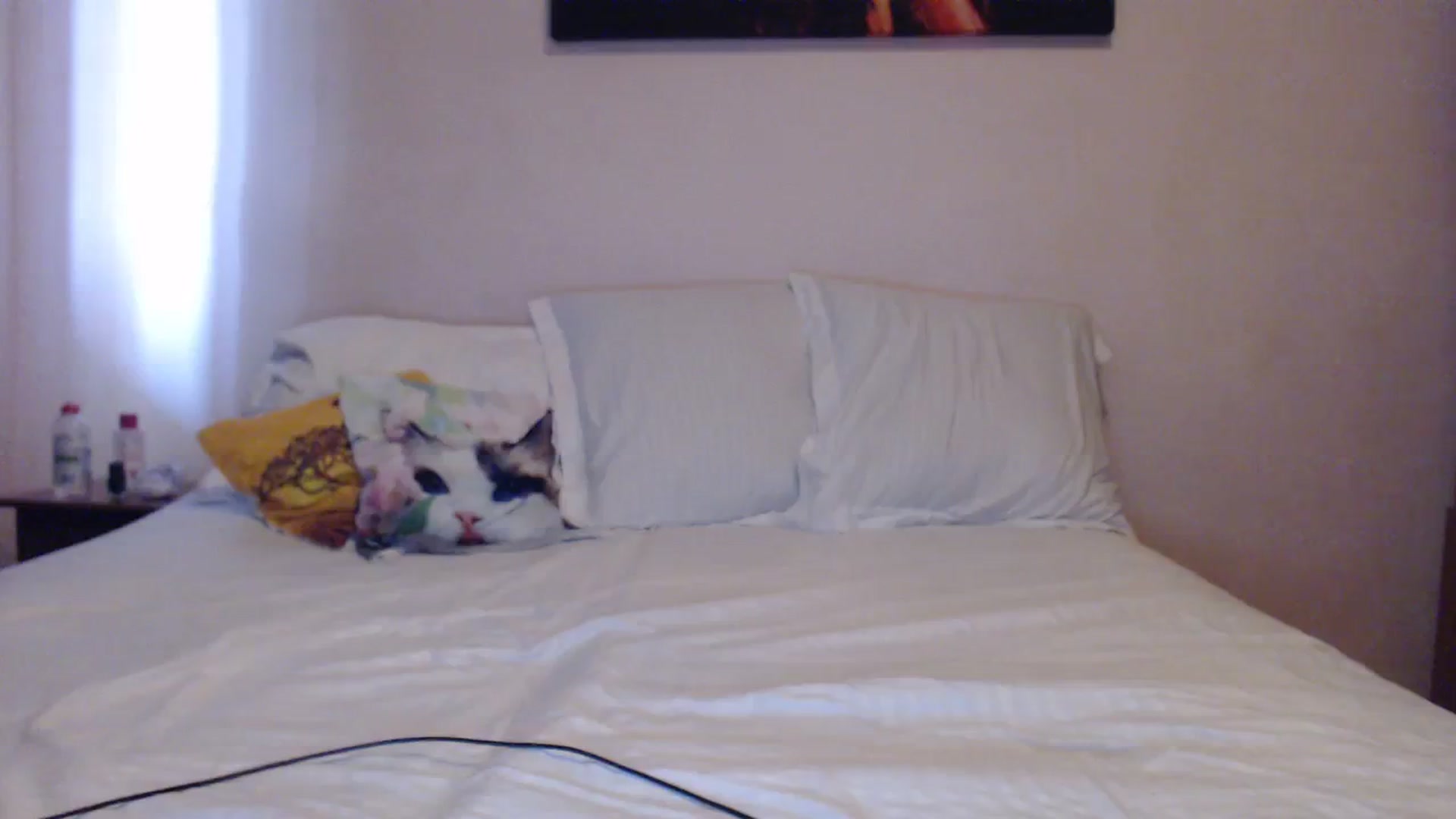 Gallery image thumbnail from Aahh_Emilia's myfreecams stream on, 04/13/2024, 15:23 image 17 of 20