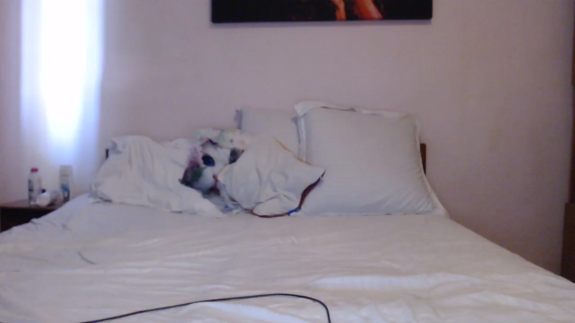 Gallery image thumbnail from Aahh_Emilia's myfreecams stream on, 04/19/2024, 15:41 image 12 of 20