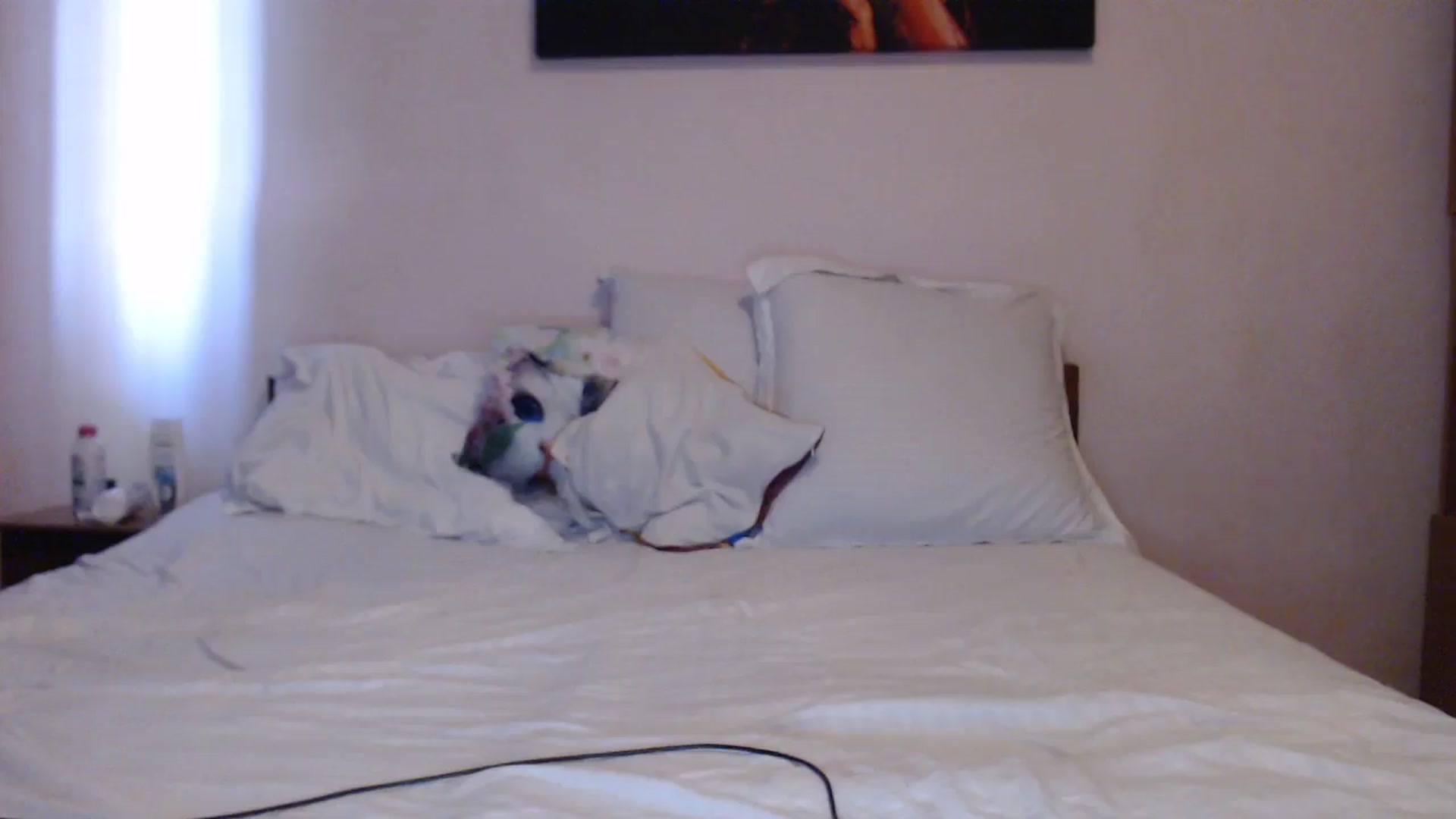 Gallery image thumbnail from Aahh_Emilia's myfreecams stream on, 04/19/2024, 15:41 image 14 of 20