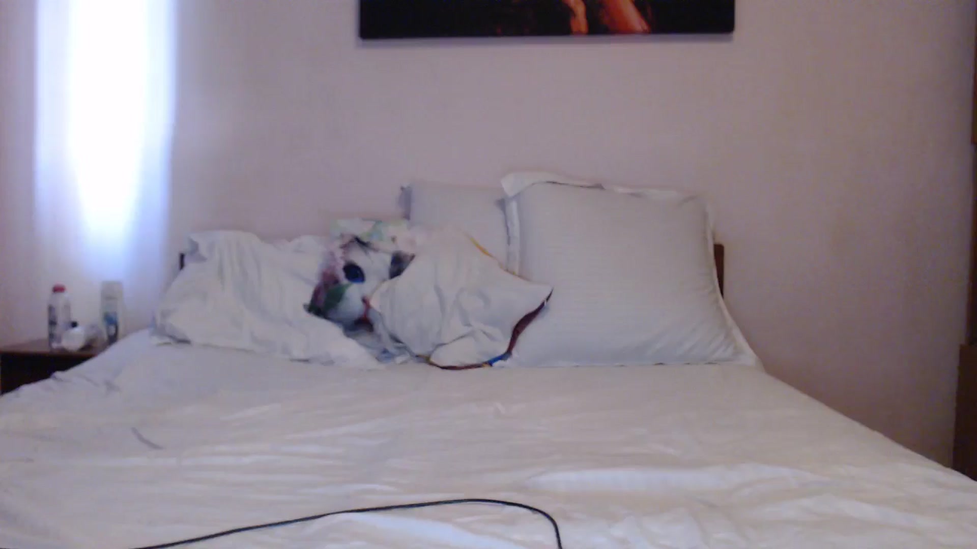 Gallery image thumbnail from Aahh_Emilia's myfreecams stream on, 04/19/2024, 15:41 image 13 of 20