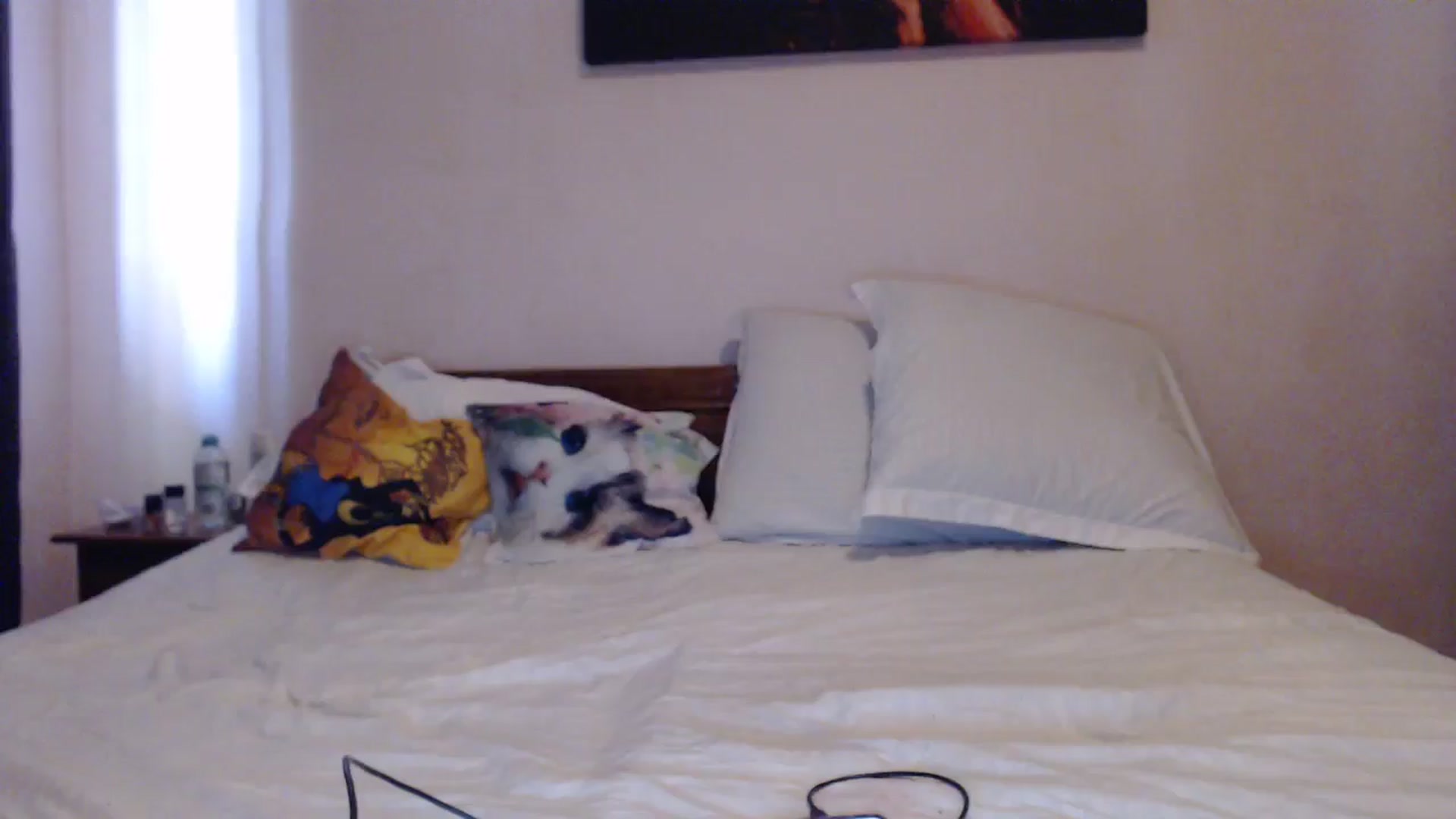 Gallery image thumbnail from Aahh_Emilia's myfreecams stream on, 04/21/2024, 15:26 image 13 of 20