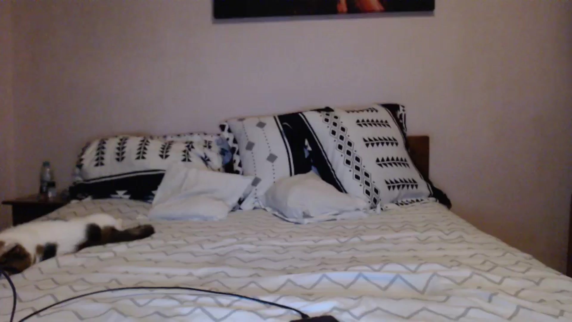 Gallery image thumbnail from Aahh_Emilia's myfreecams stream on, 04/23/2024, 18:45 image 11 of 20