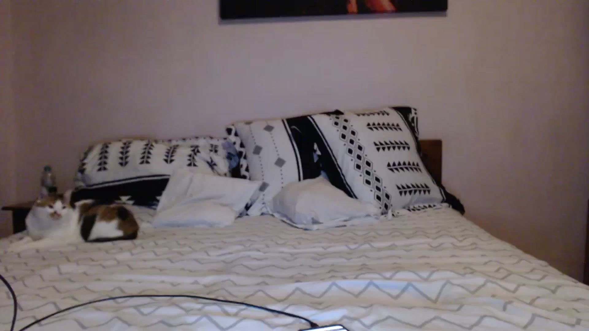 Gallery image thumbnail from Aahh_Emilia's myfreecams stream on, 04/23/2024, 18:45 image 10 of 20