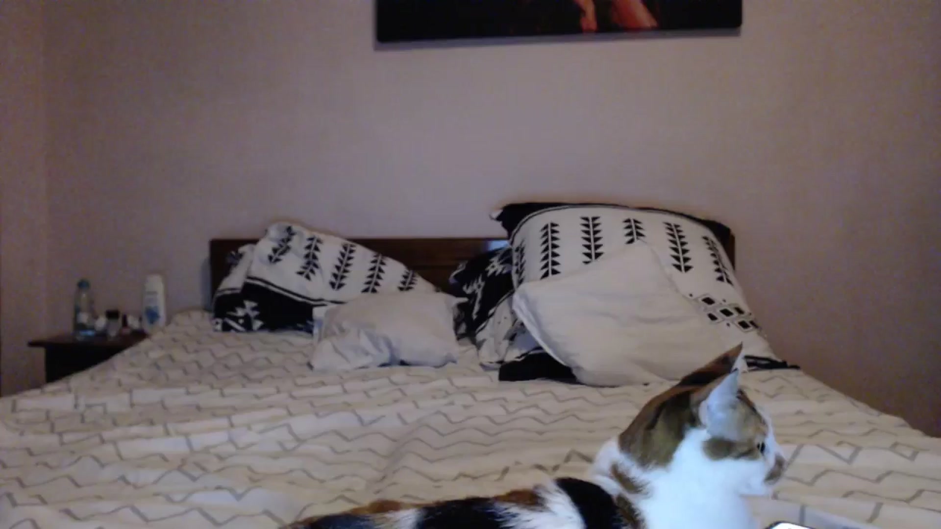 Gallery image thumbnail from Aahh_Emilia's myfreecams stream on, 04/26/2024, 17:56 image 10 of 20
