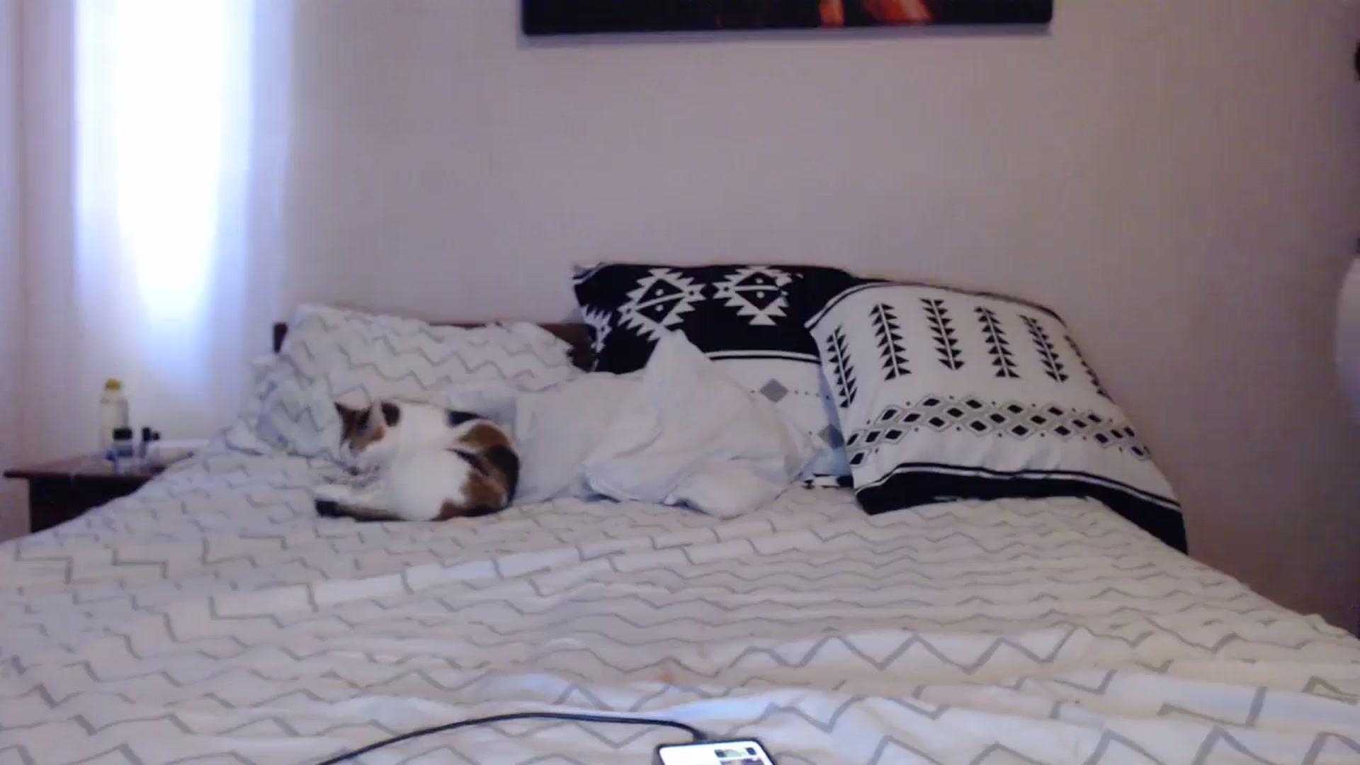 Gallery image thumbnail from Aahh_Emilia's myfreecams stream on, 04/30/2024, 15:49 image 11 of 20